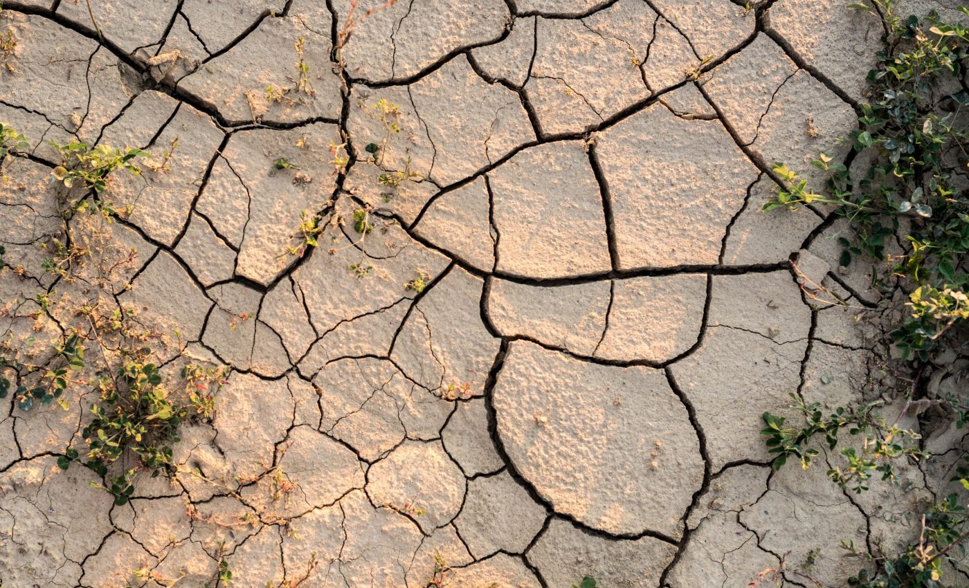 Ancient humans turned climate stress into opportunity