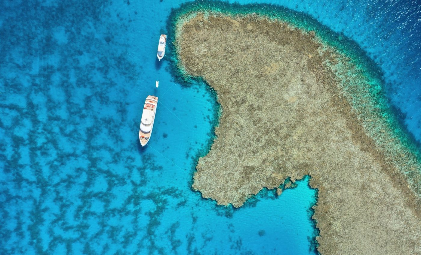 Landmark High Seas Treaty marks new era of global ocean protection