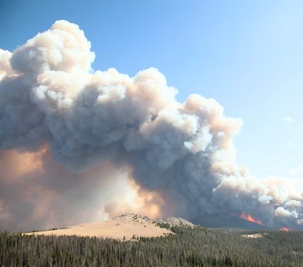 2025/09/Wildfire-smoke-72.jpg