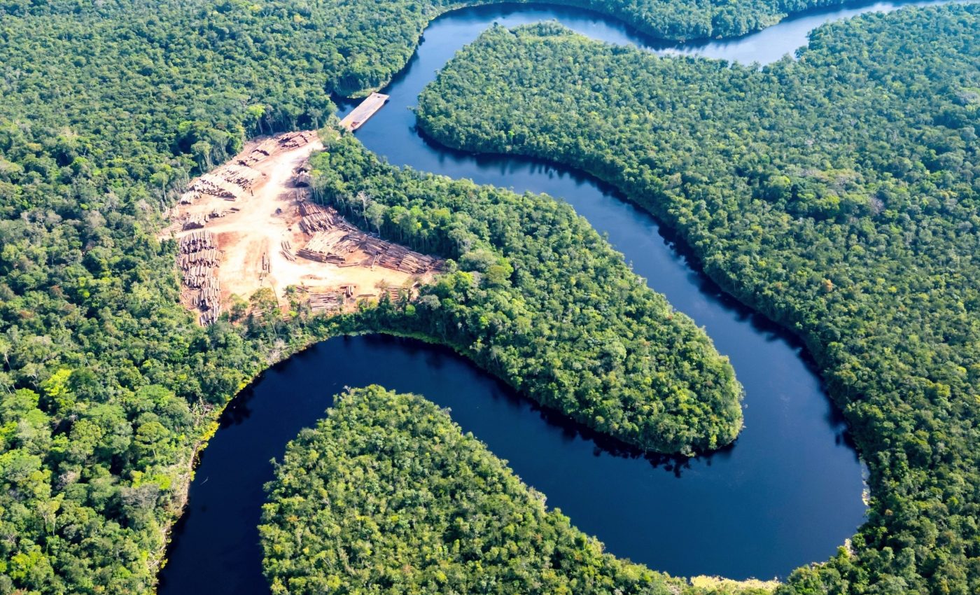 Without trees, Amazon weather will grow more extreme