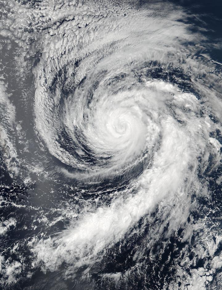 Hurricane Celia is seen headed for the Central Pacific Ocean