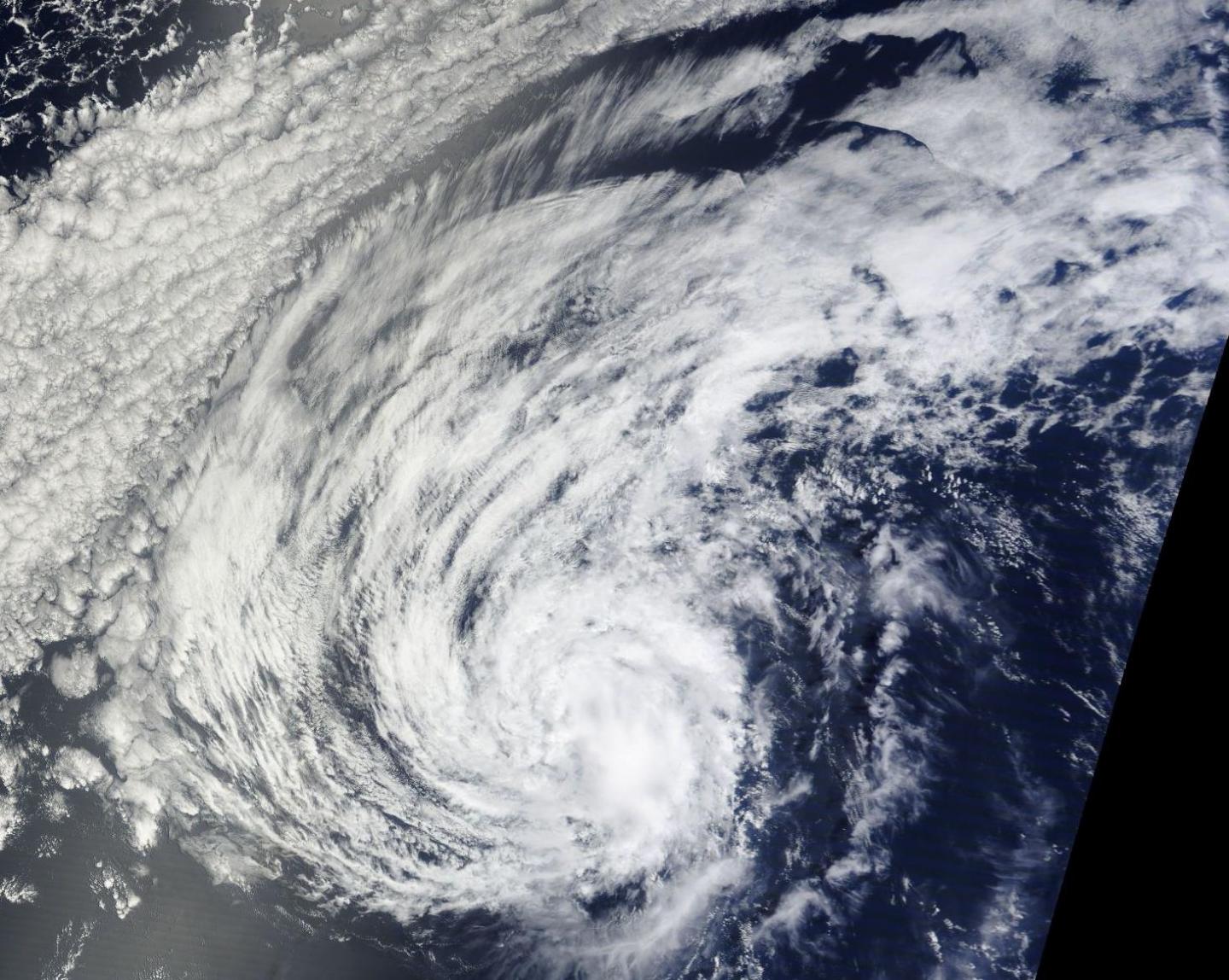 Tropical Storm Agatha fizzles out