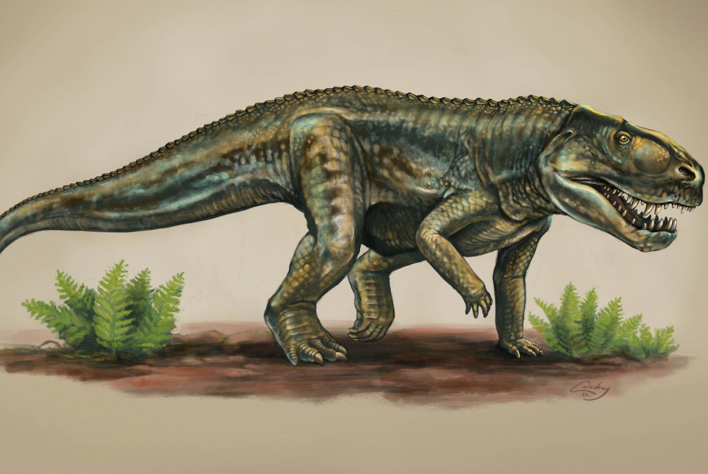 Vivaron haydeni: New species of reptile from 212 million years ago
