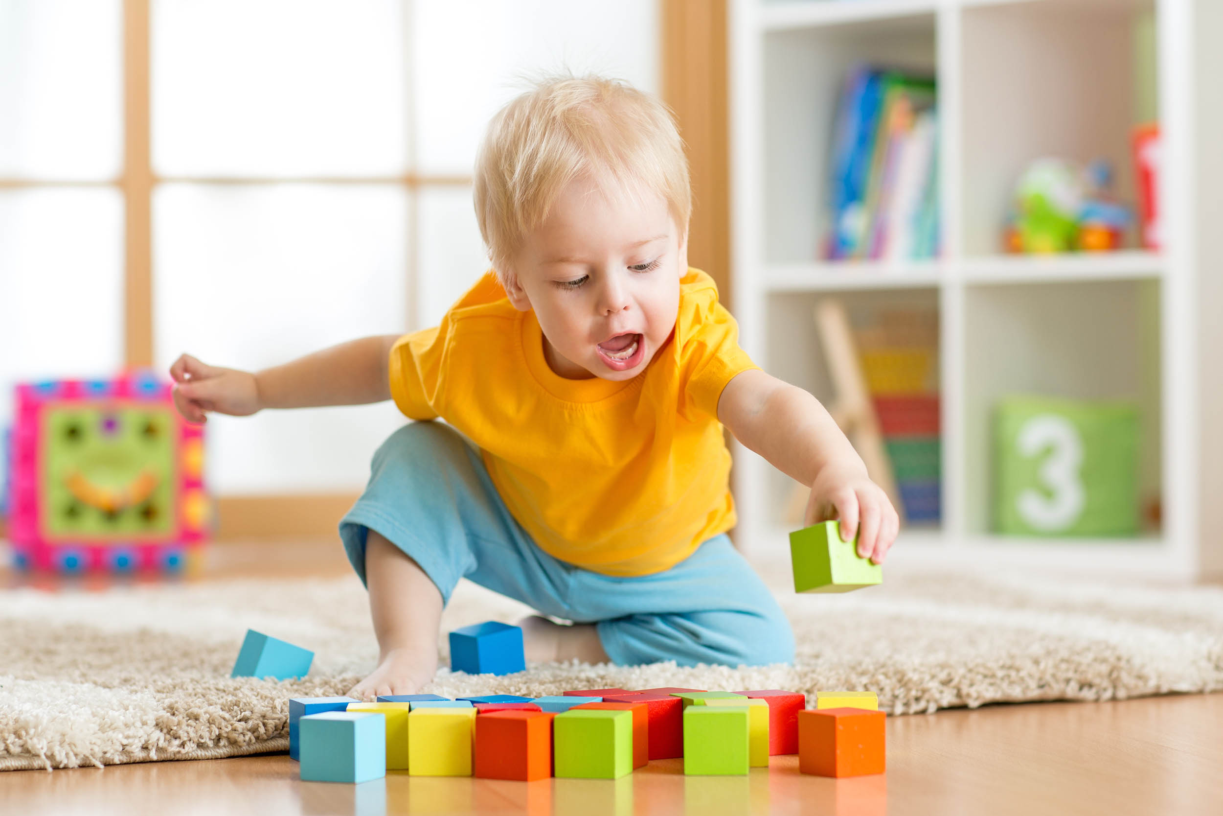 Harmful chemicals are found in household dust
