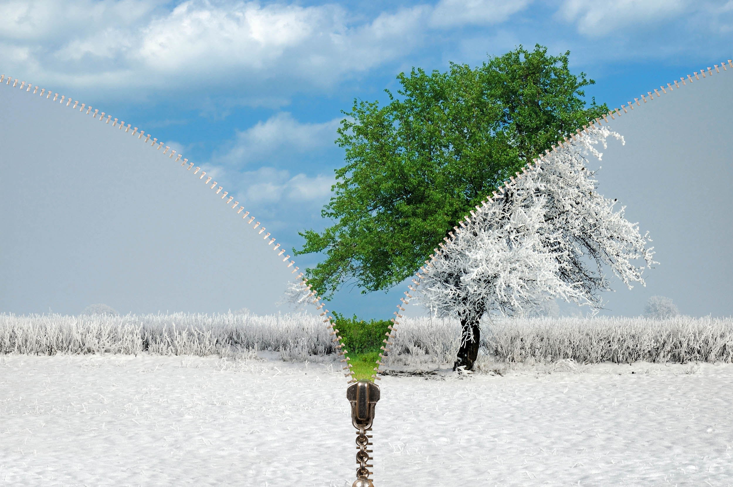 Different weather expected this winter in the US