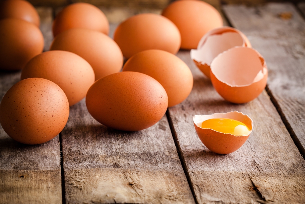 Study finds eggs from free-range hens may be better for you