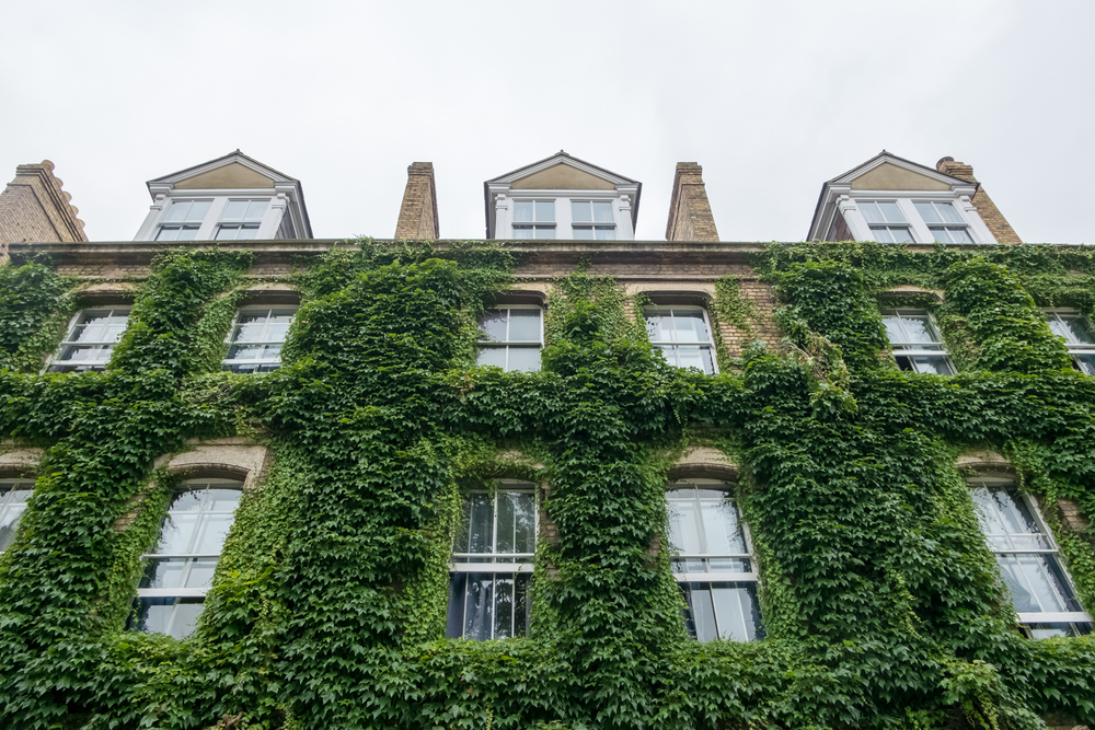 Your world: our favorite instagram photos of green facades