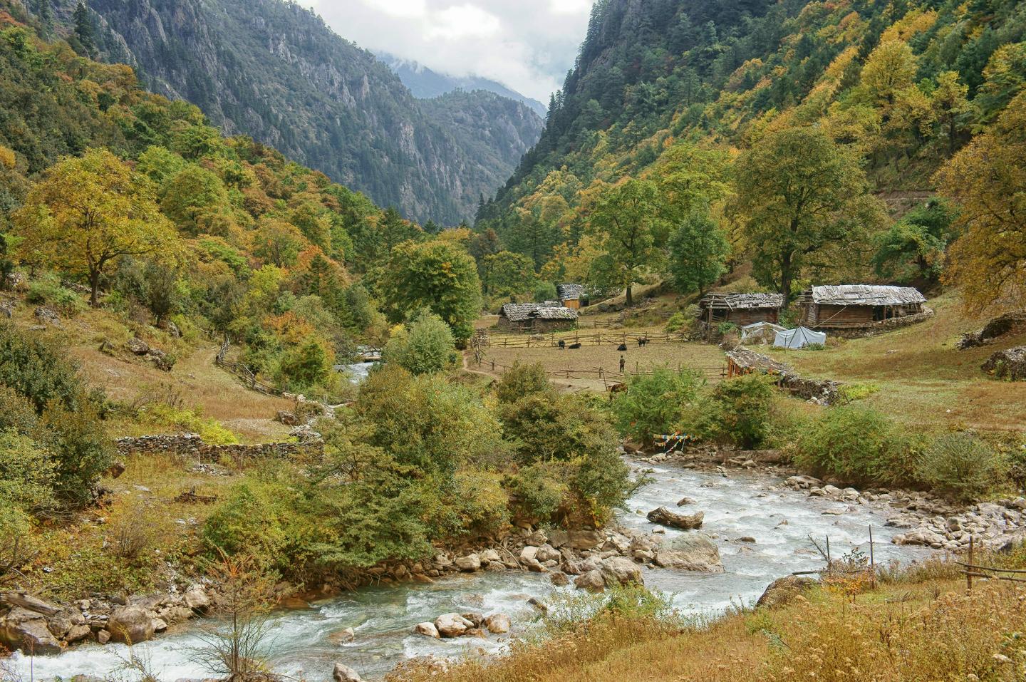 Microbial biodiversity is impacted by climate change in different ways