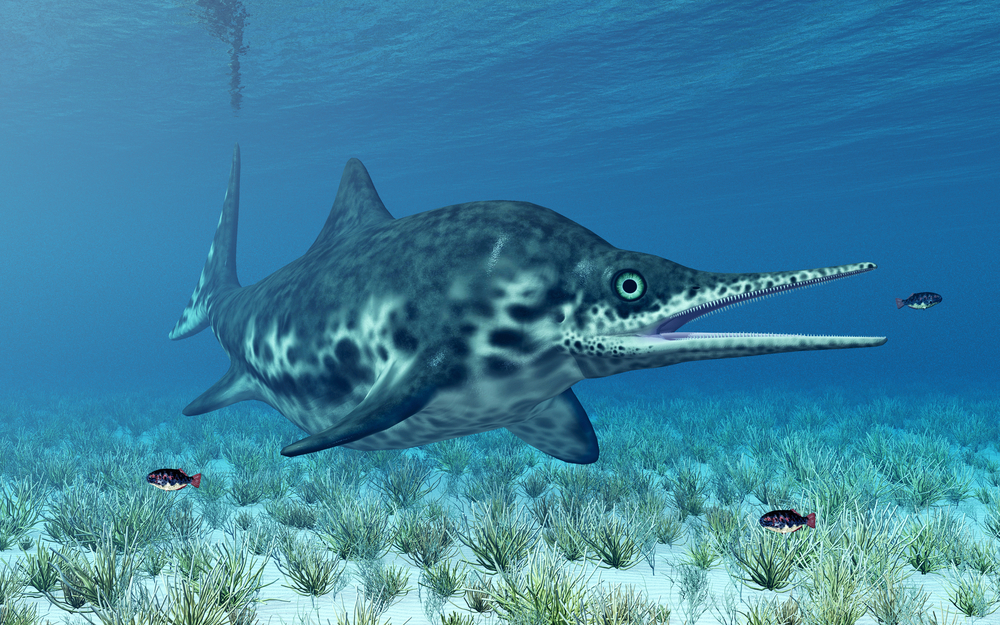Paleontologists: Texas fossil could be dolphin-like ichthyosaur