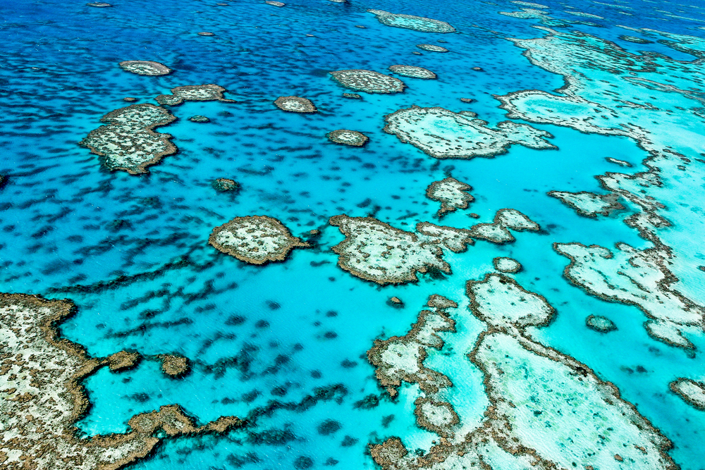 Great Barrier Reef almost drowned as seas rose 125,000 years ago