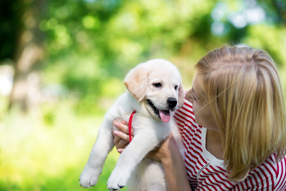 Scientists ask: what is the deal with puppy talk?