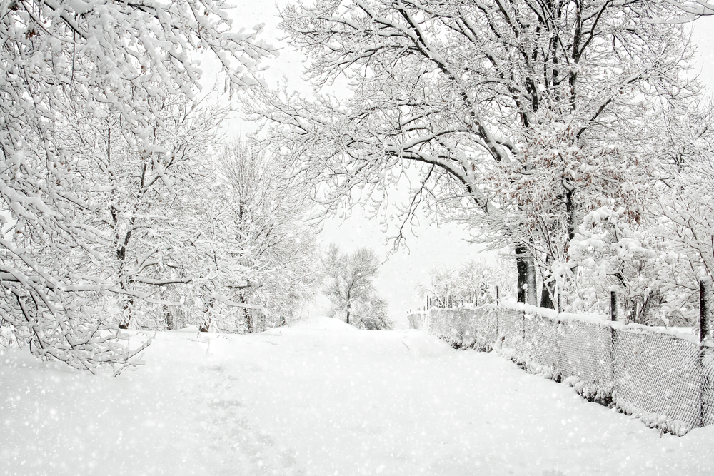 Cloud seeding offers scientists high hopes for snow