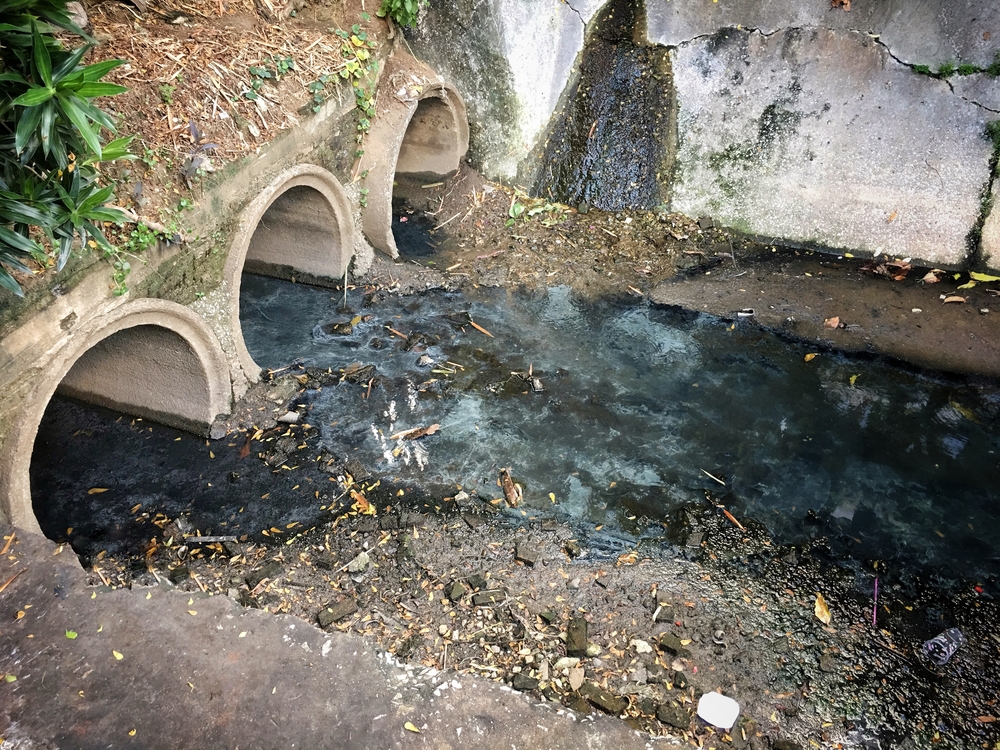Snow geese deaths highlight race for time against toxic pit