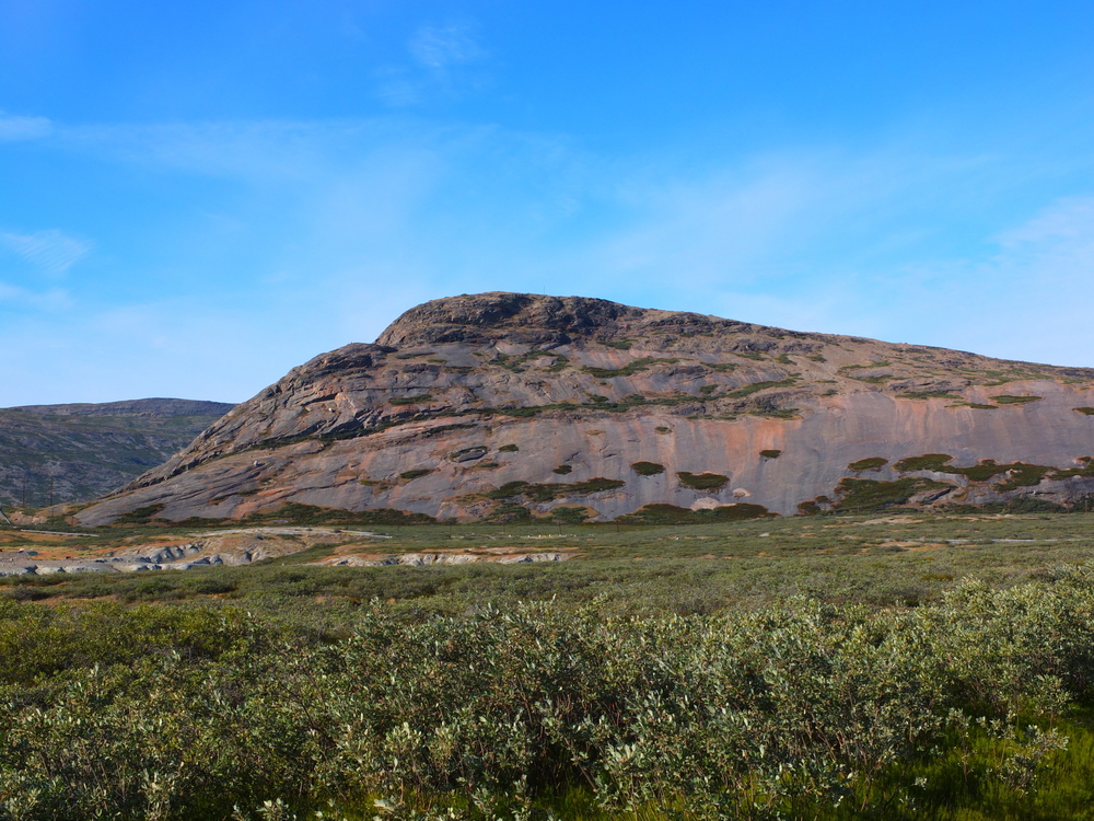 Climate change plays havoc with nature's clock in Greenland