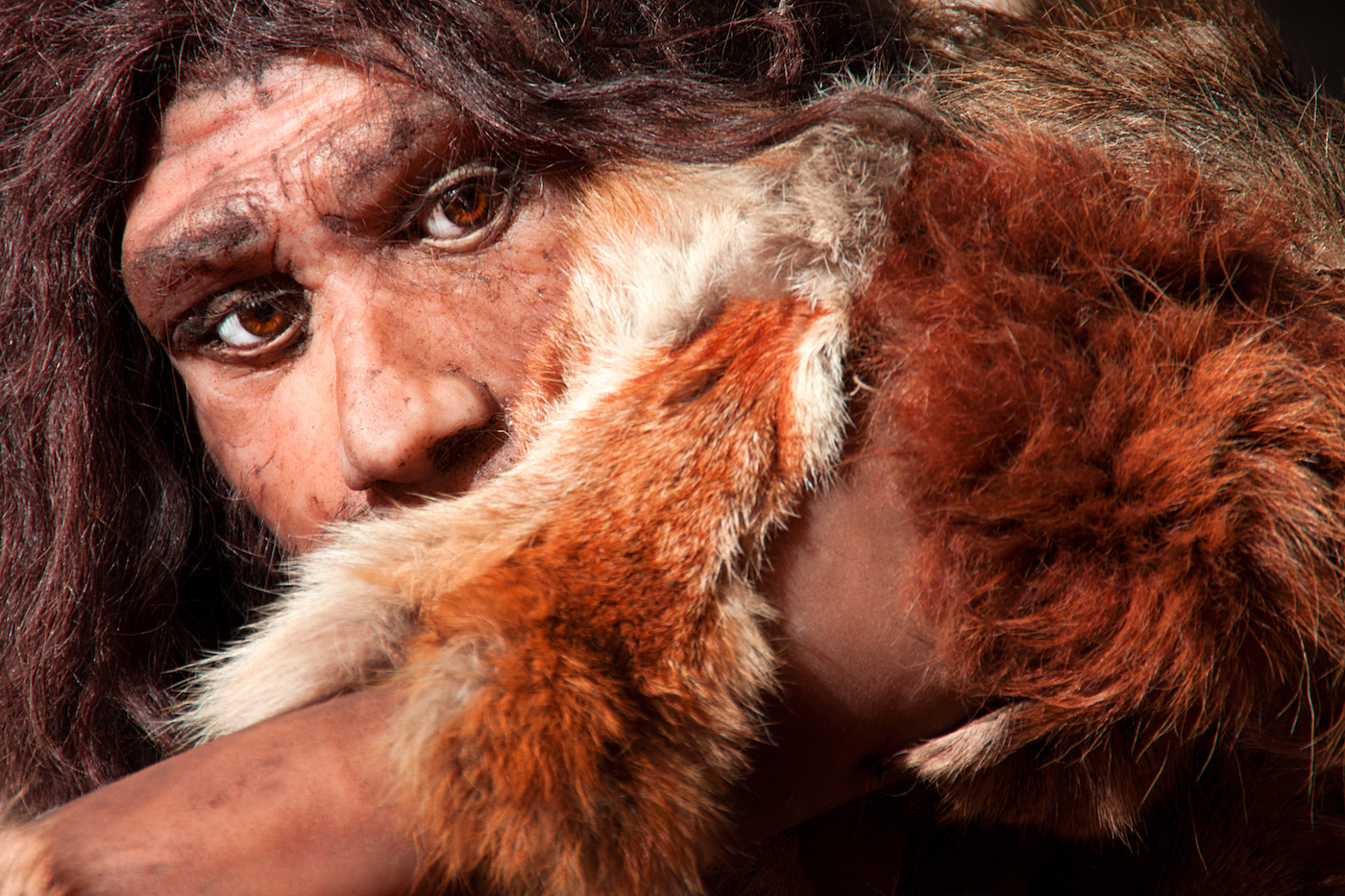 Early humans had relations with non-human “ghost” species