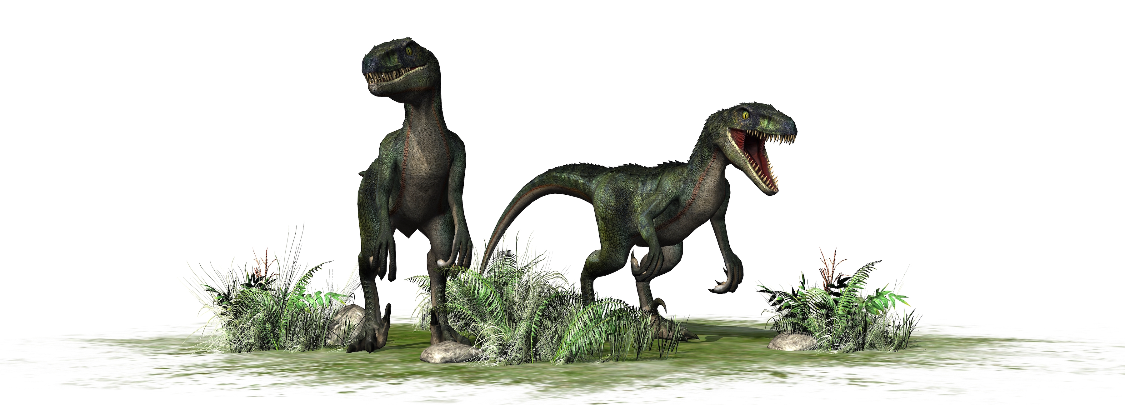 Missing link found between herbivorous and carnivorous dinosaurs