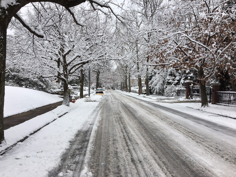 Scientific education doesn't change people's beliefs, study finds