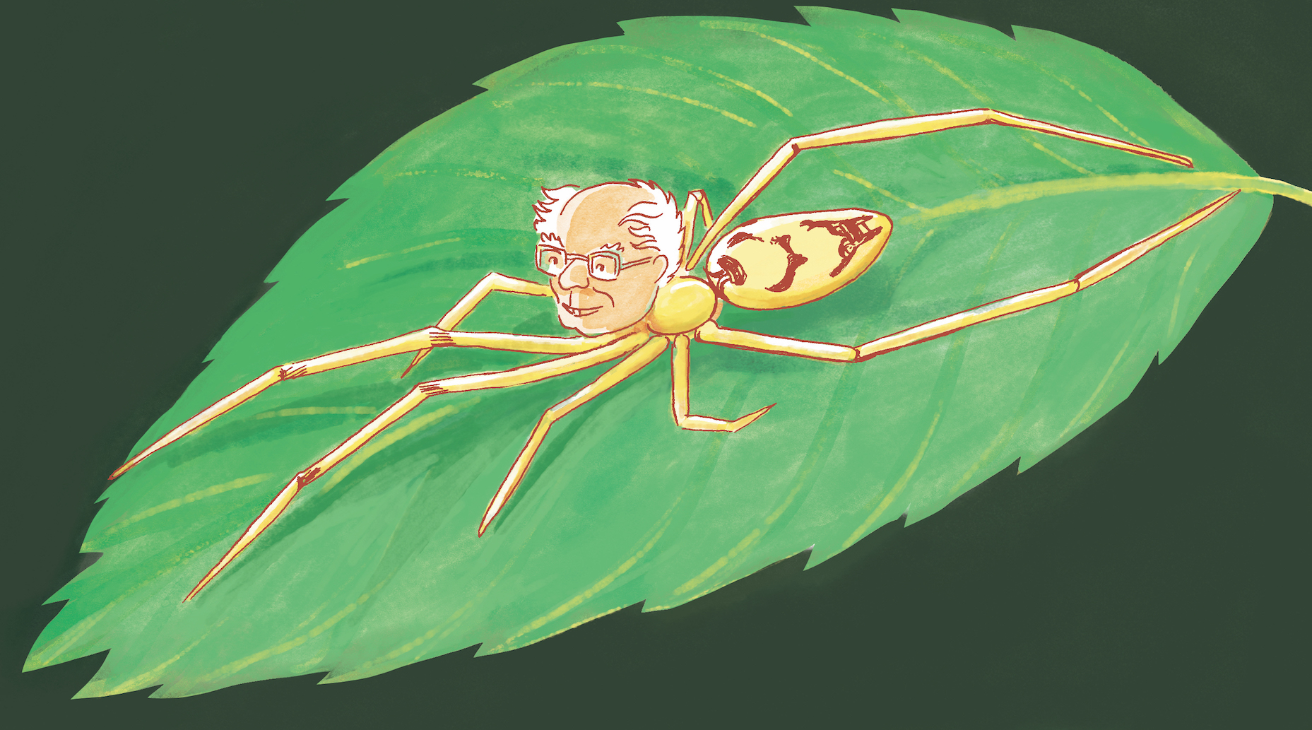 Bernie Sanders spider among 15 new species discovered