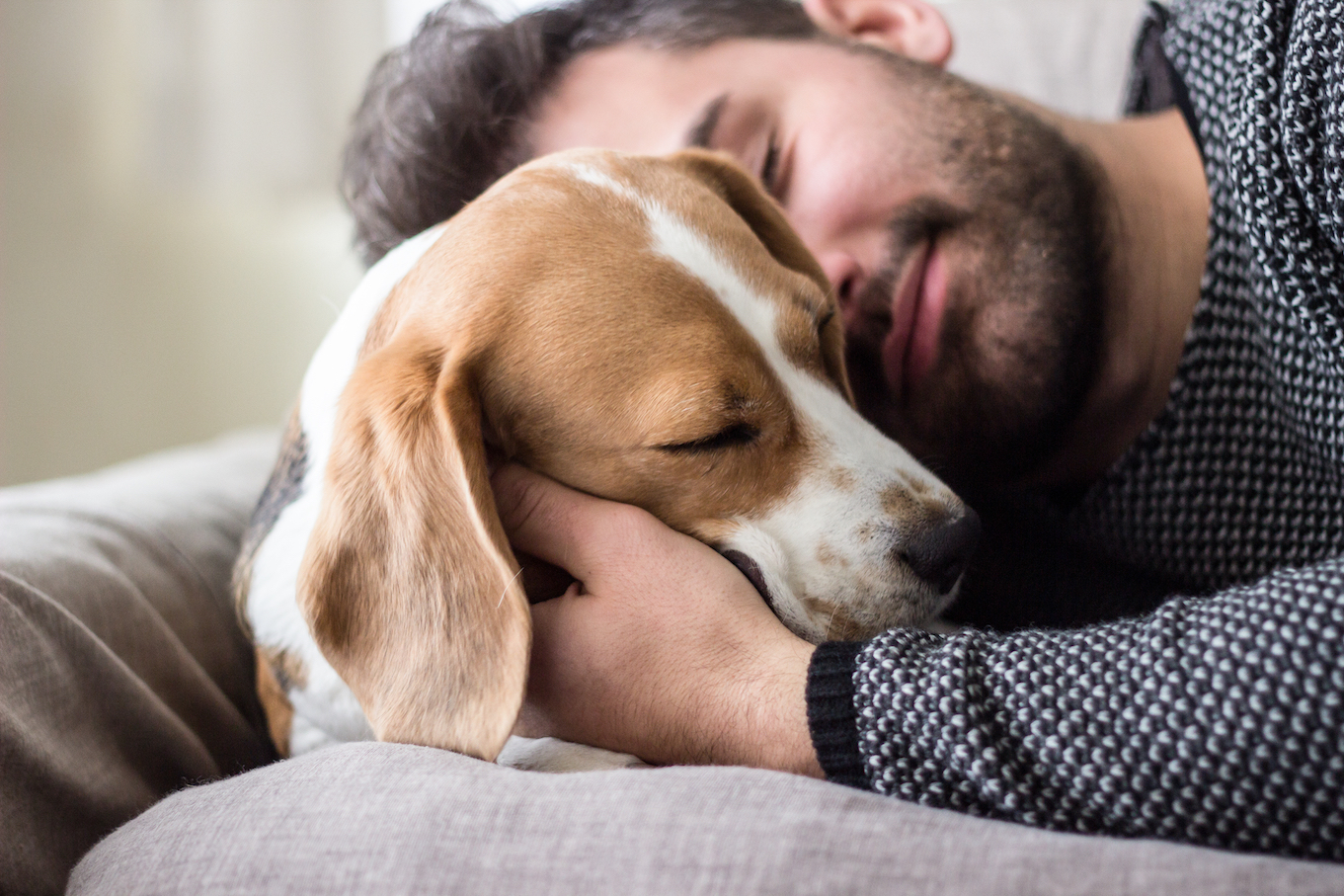 Science proves that your dog really does love you