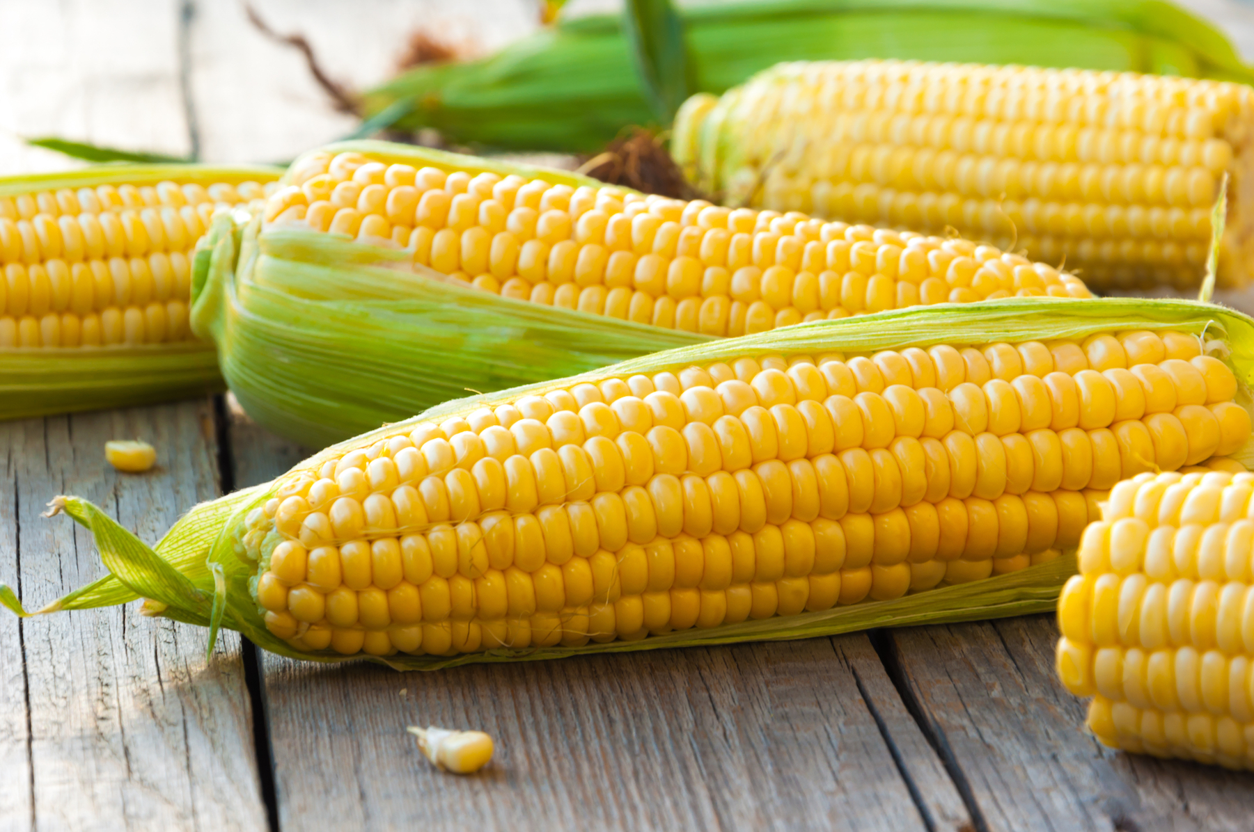 Genetically modifying corn enhances nutritional content