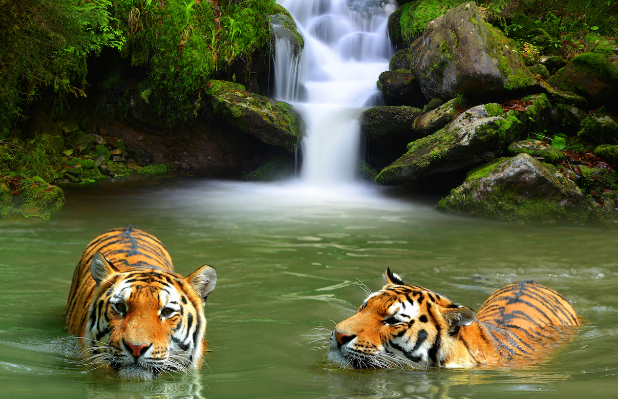 Conservation spending works but more could be done