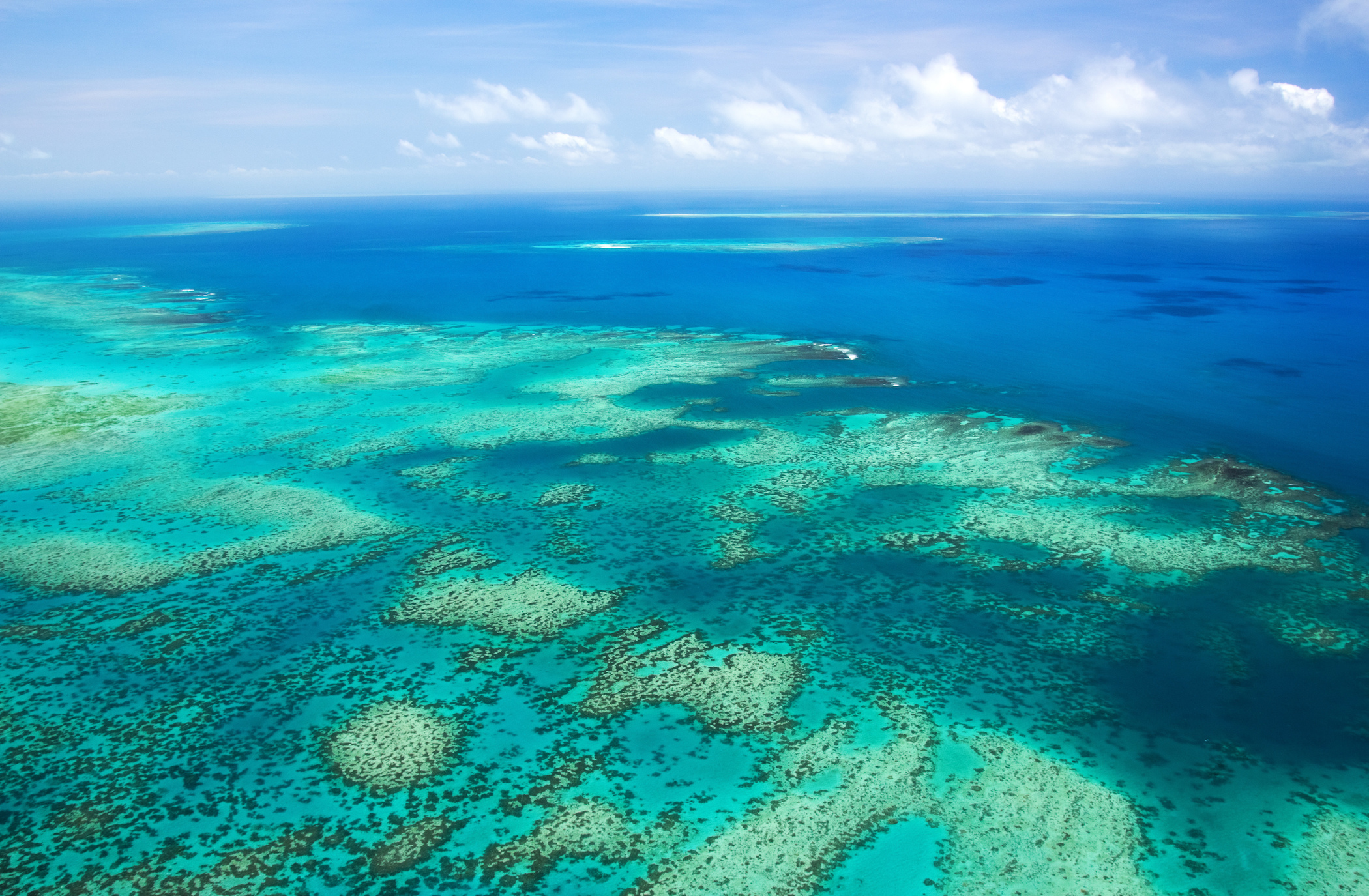 Report: Great Barrier Reef protected zones benefit all fish