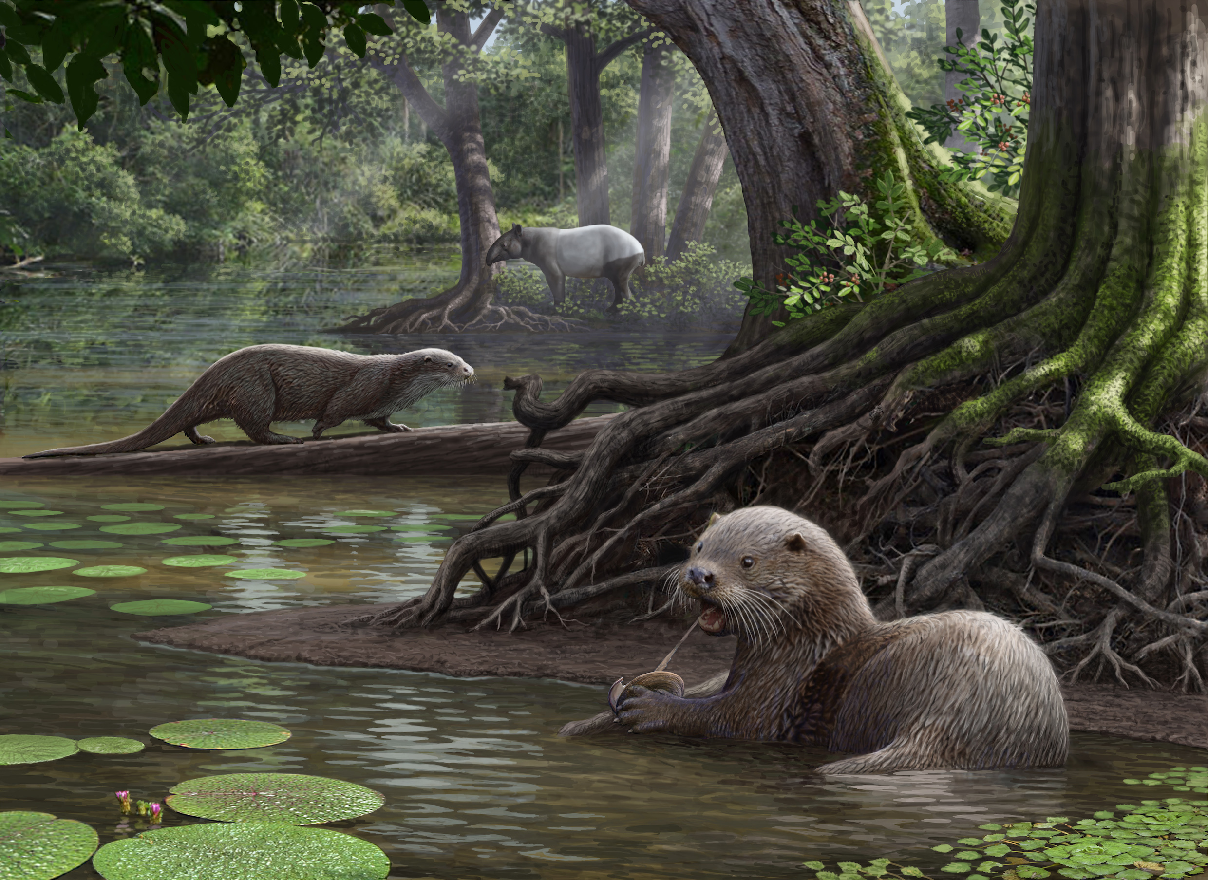 Massive ancient otters may have been a top predator