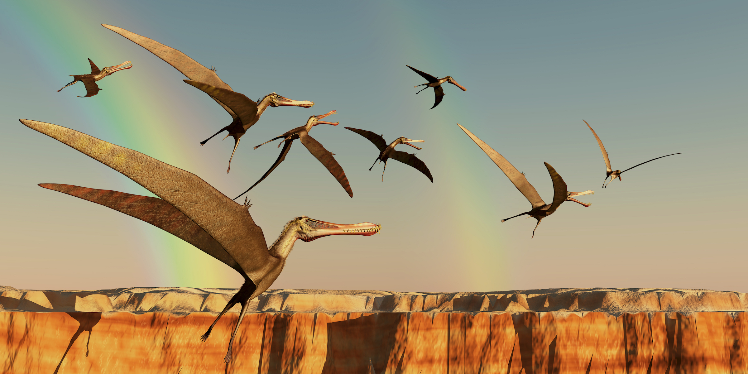 From scales to feathers: How birds evolved from dinosaurs