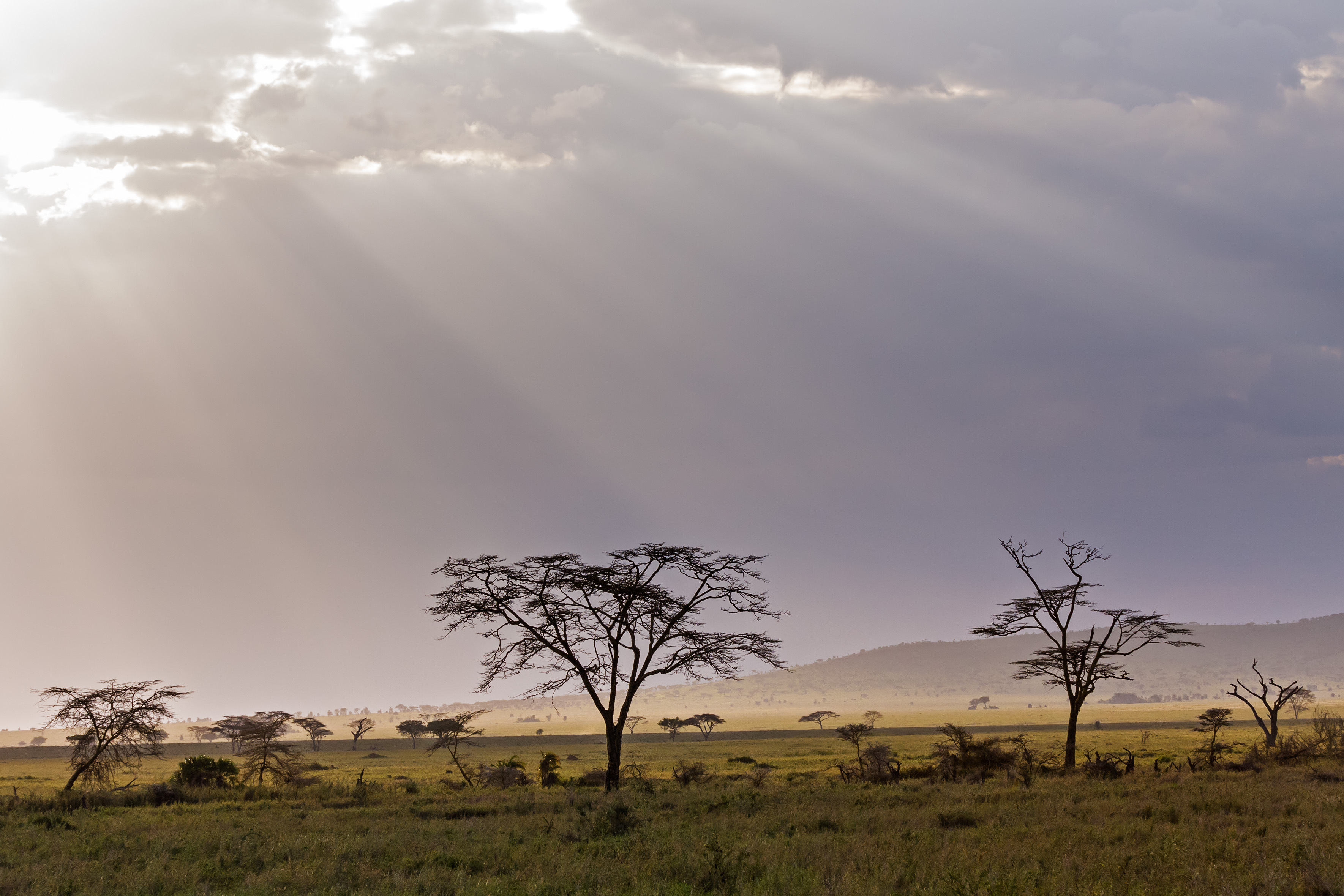 Weather statistics could help eliminate world hunger