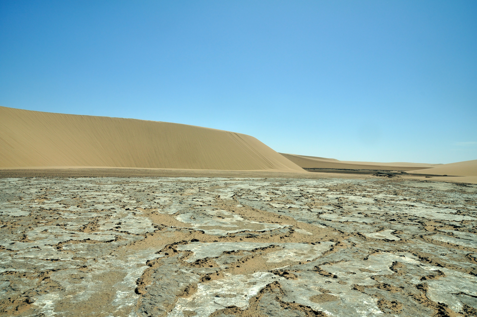 Ancient societies did not all need active rivers to thrive