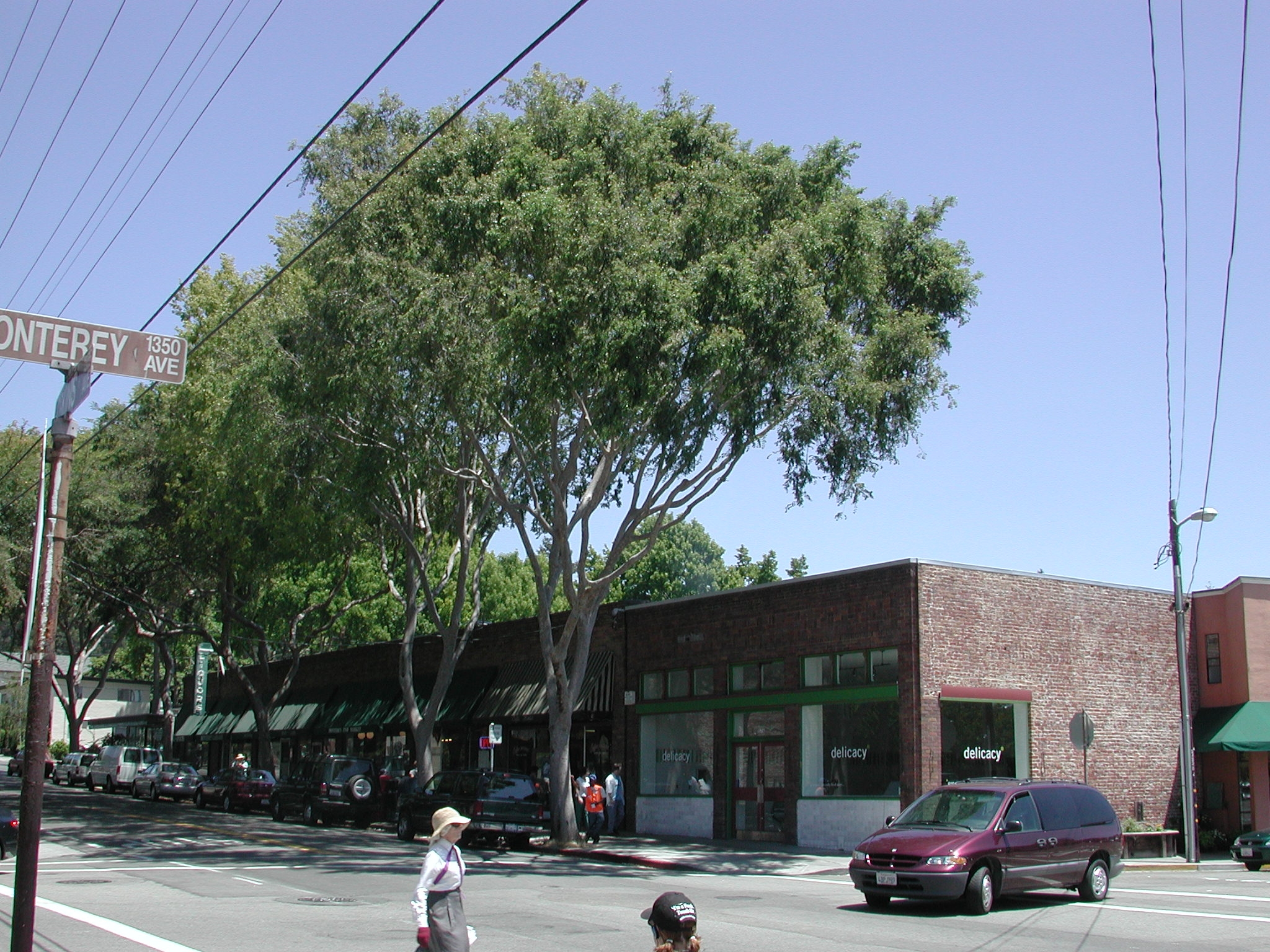 California has lowest tree cover per capita in the country