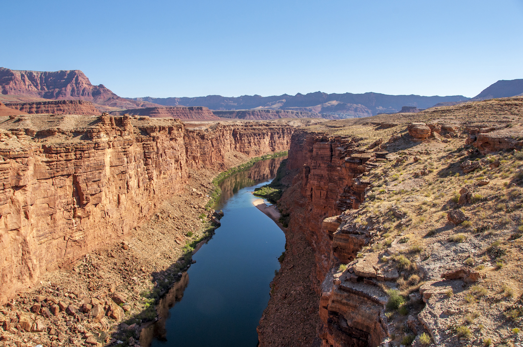 Water removal from Colorado River putting fish species at risk