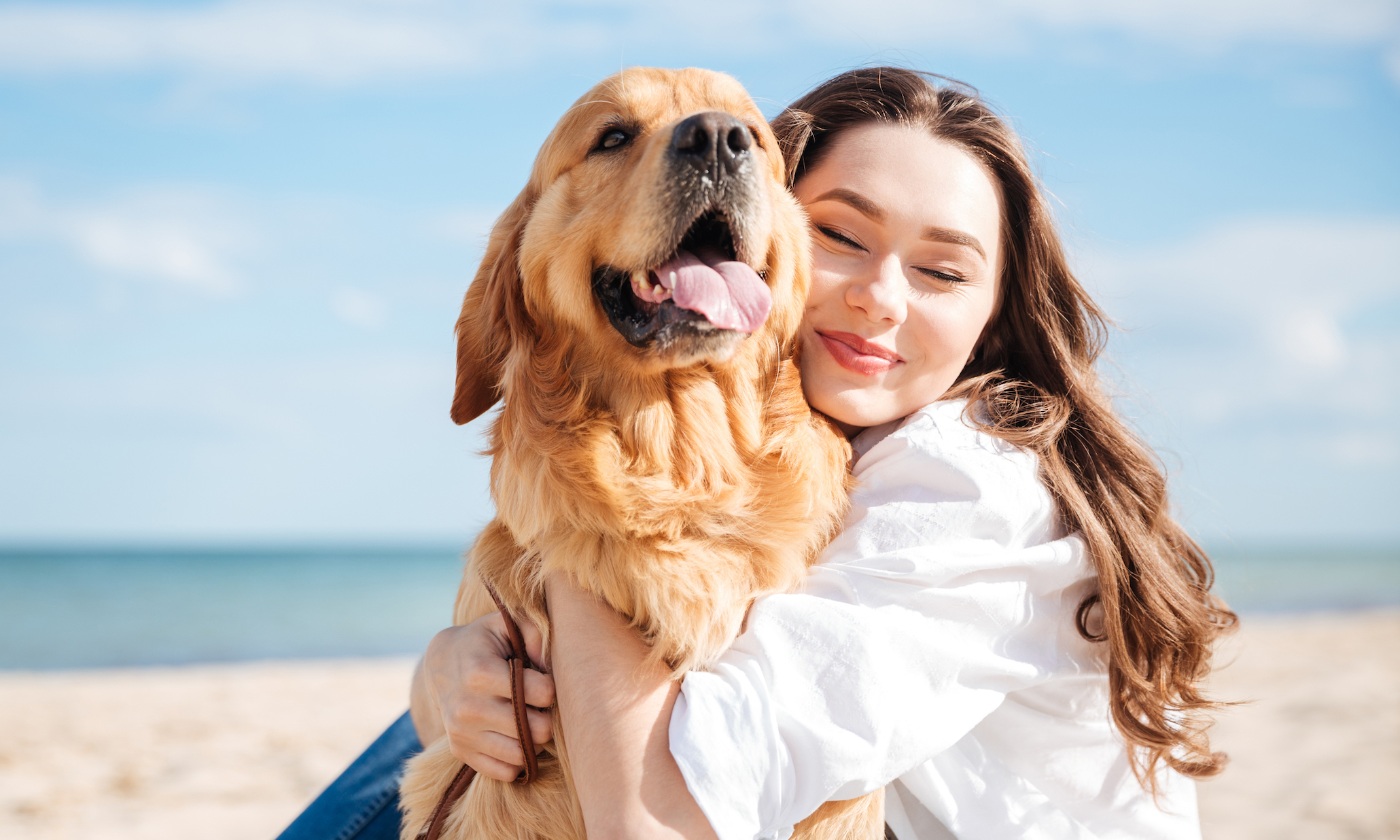 Dogs understand humans better than we understand them