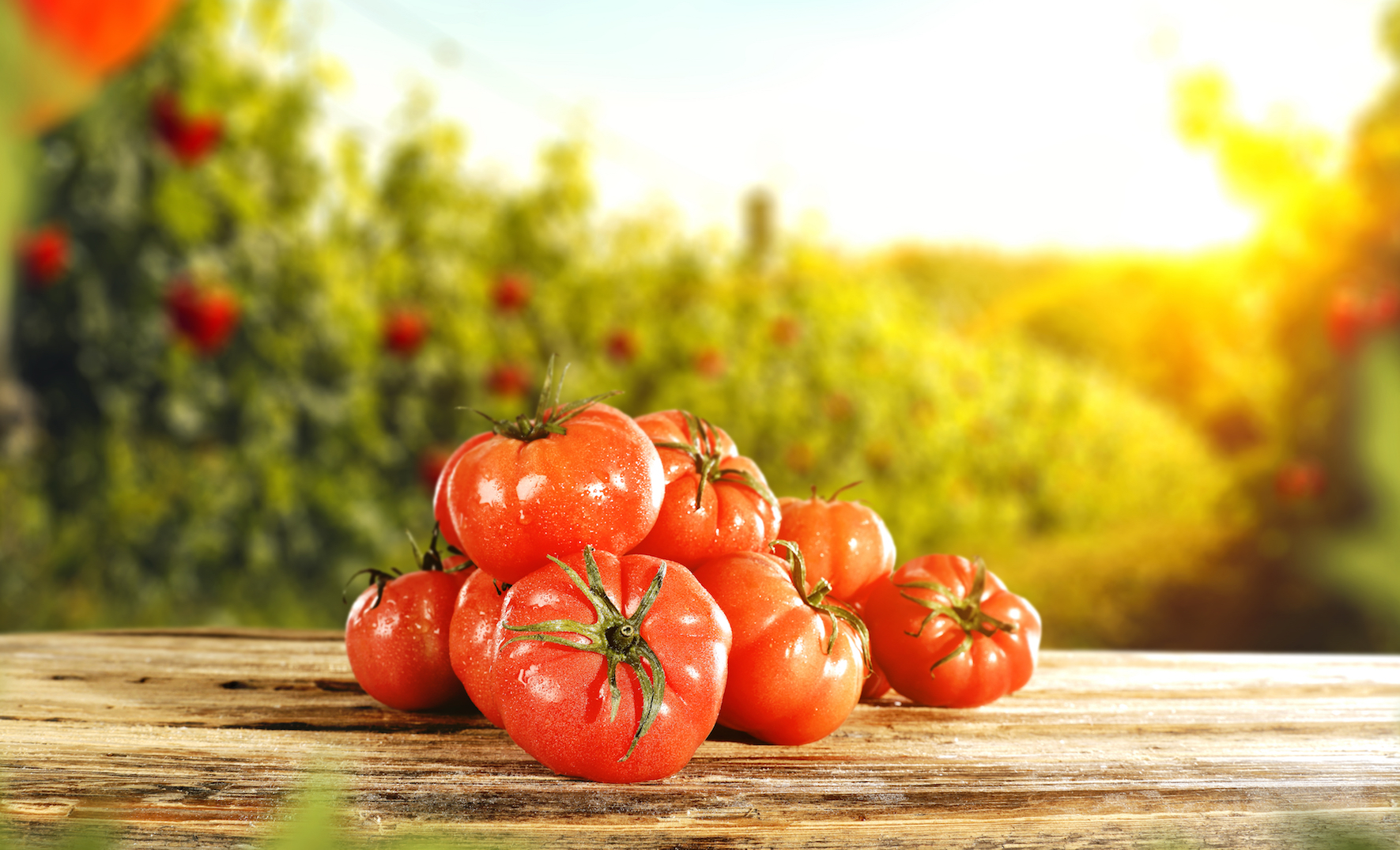 Tomatoes and fresh fruit help improve lungs of ex-smokers