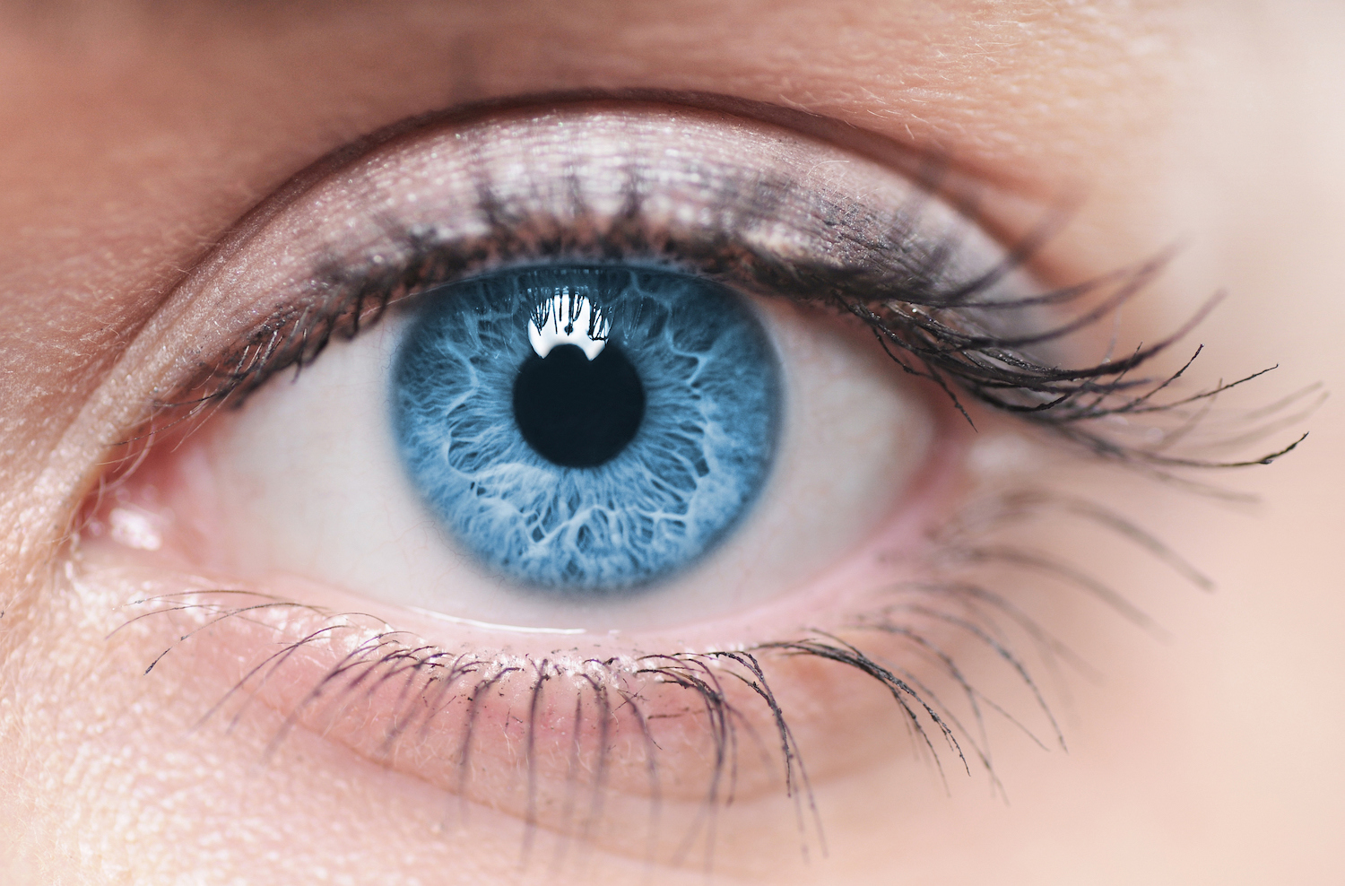 The human eye can detect illness in a matter of seconds