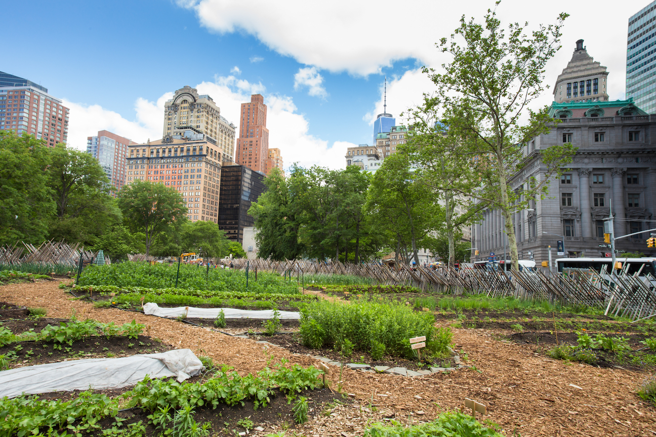 The benefits of urban agriculture may be greater than we thought