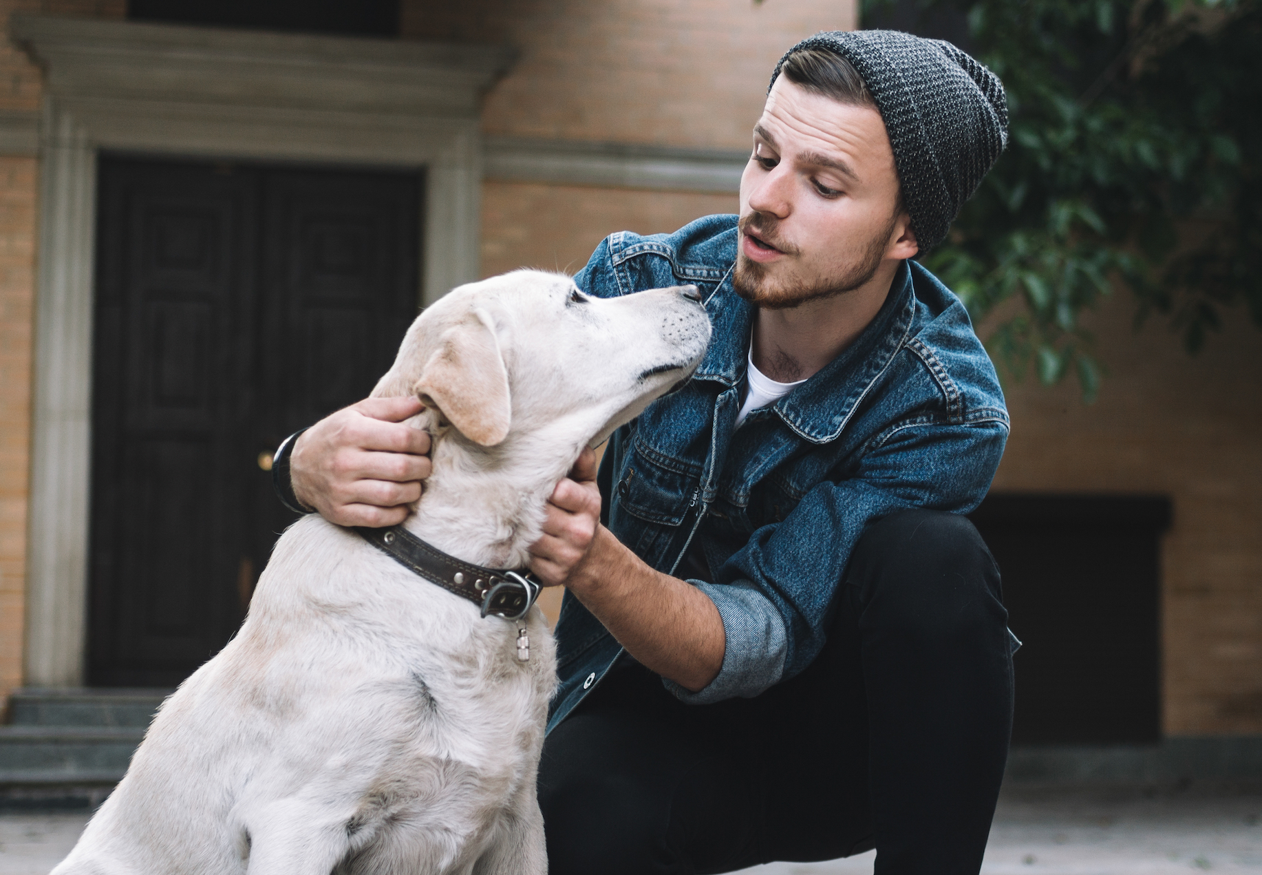 New translator technology could help us understand our pets