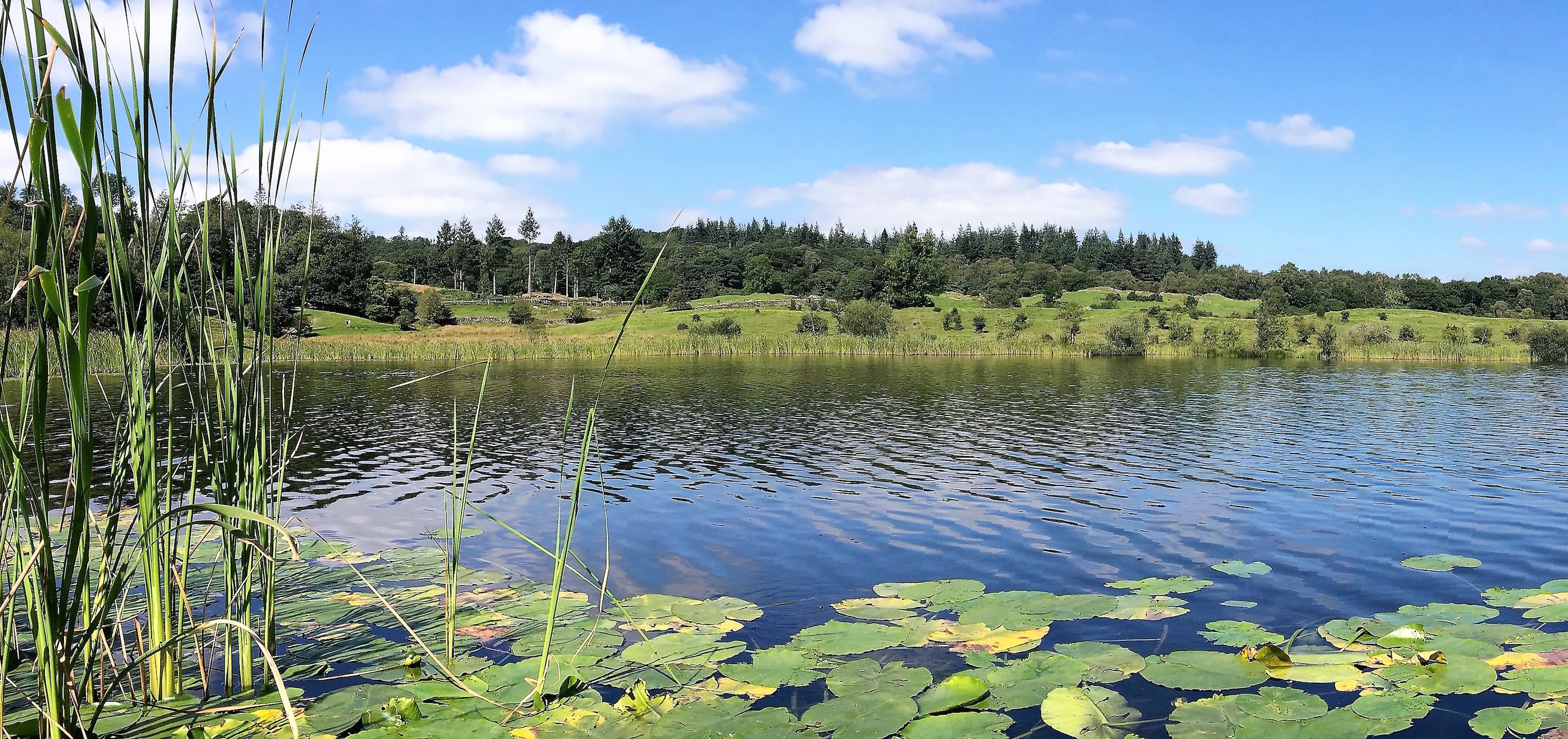 Warmer temps and nutrients could increase lake methane emissions