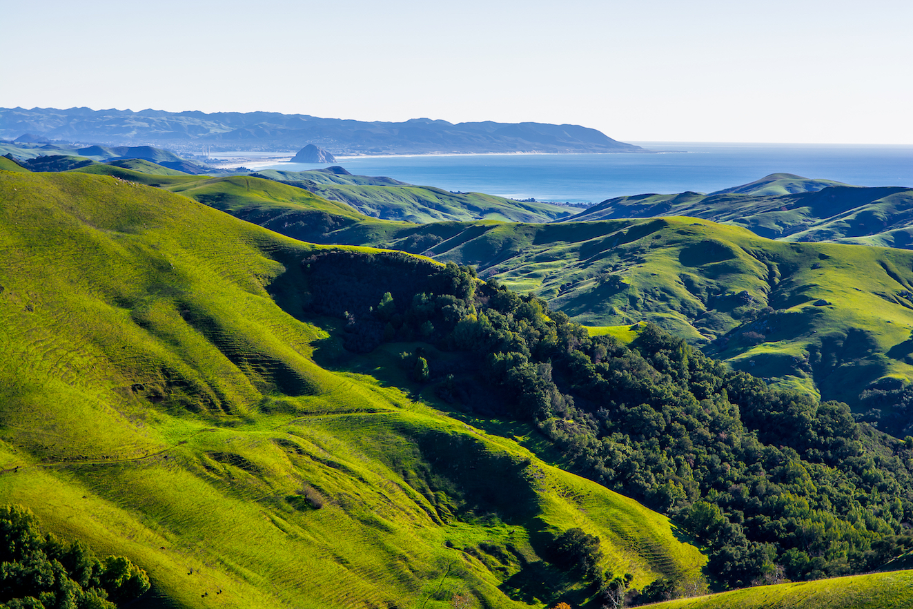 Climate change puts half of California vegetation at risk