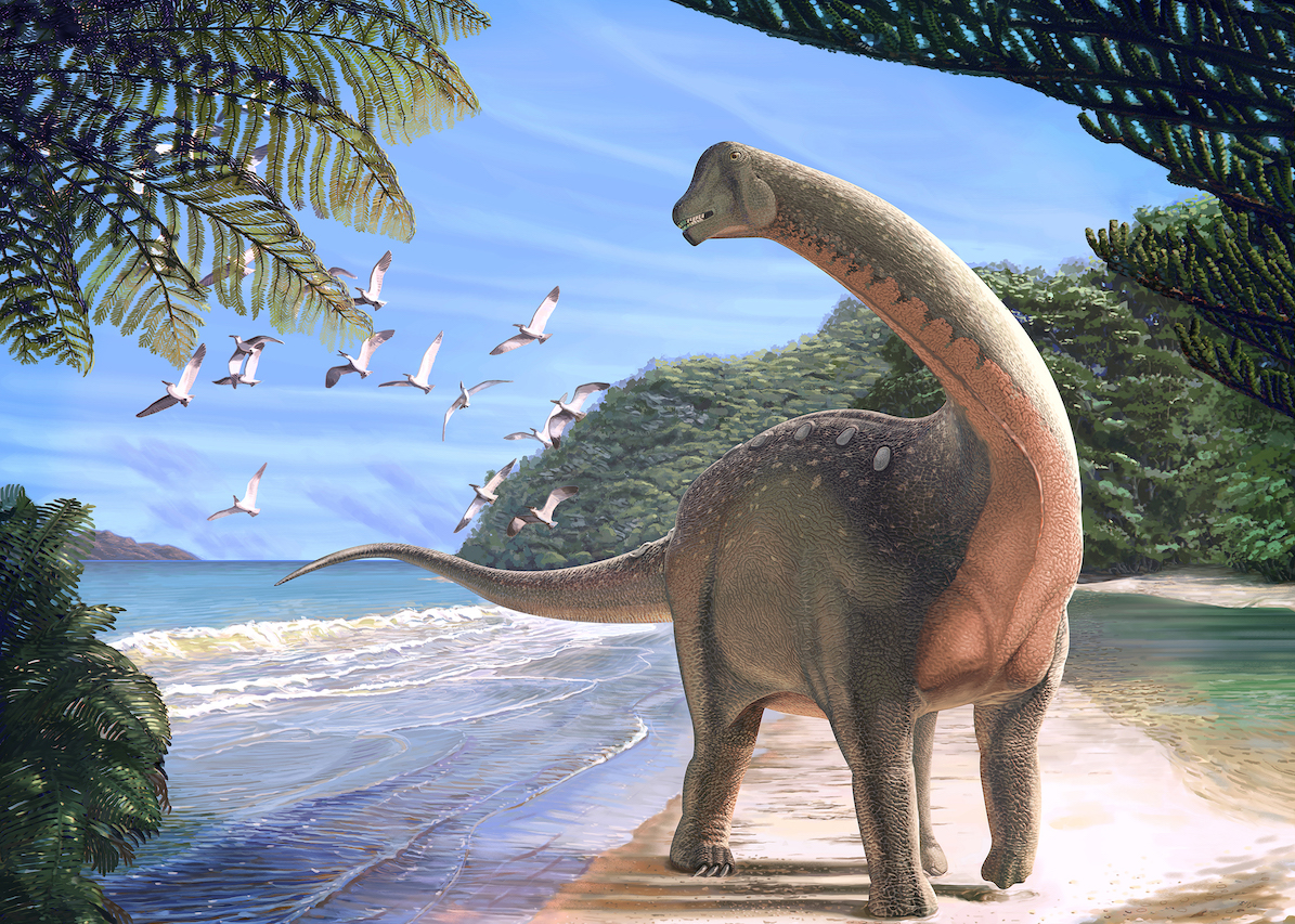 Major dinosaur species discovery made in the Sahara Desert