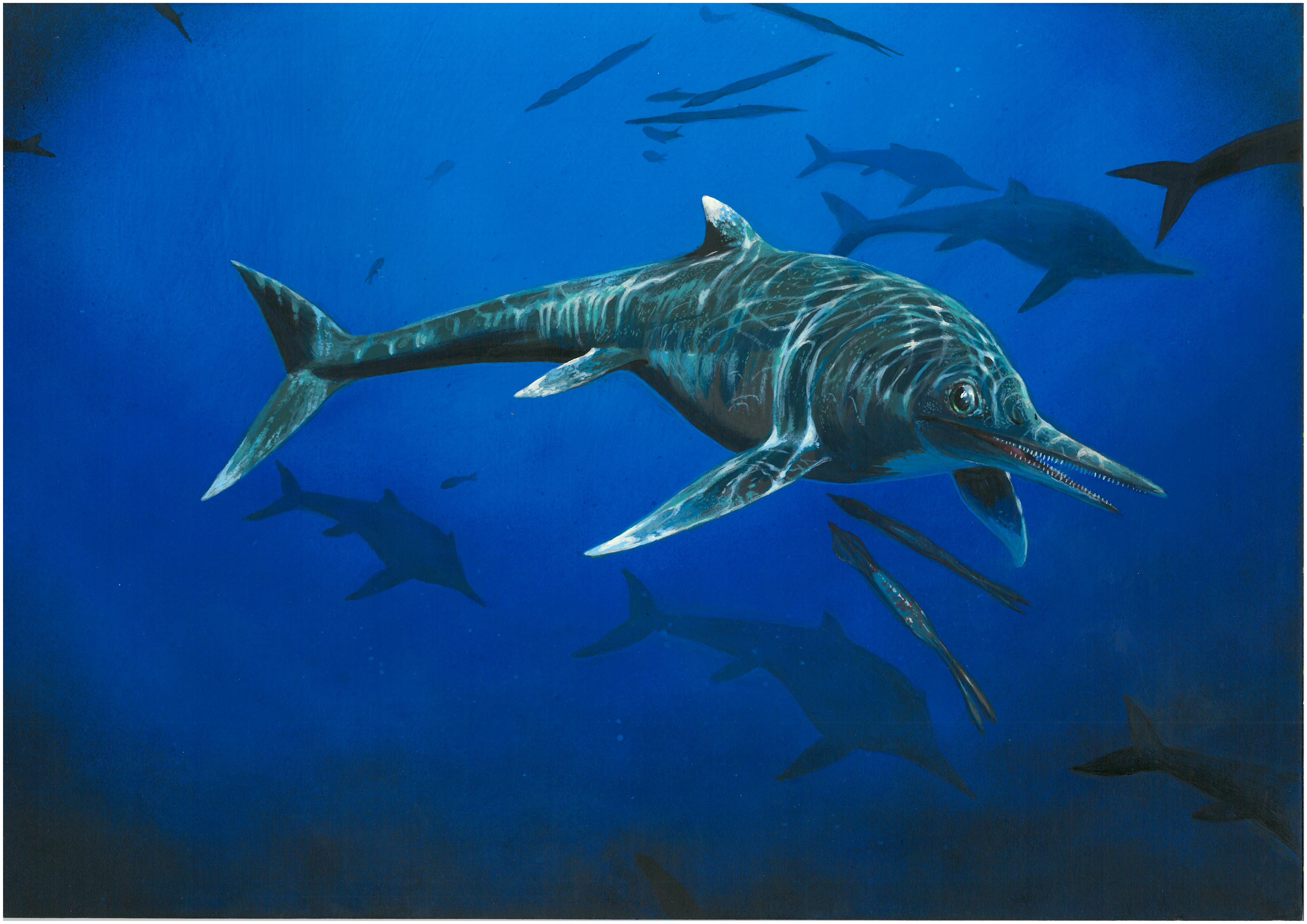 Prehistoric sea reptile lived 200 million years ago