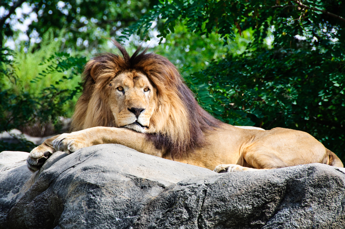 Land partnerships can protect biodiversity amidst climate change