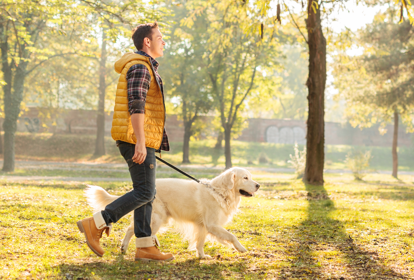 Dog owners perceived as more caring and attractive, study finds