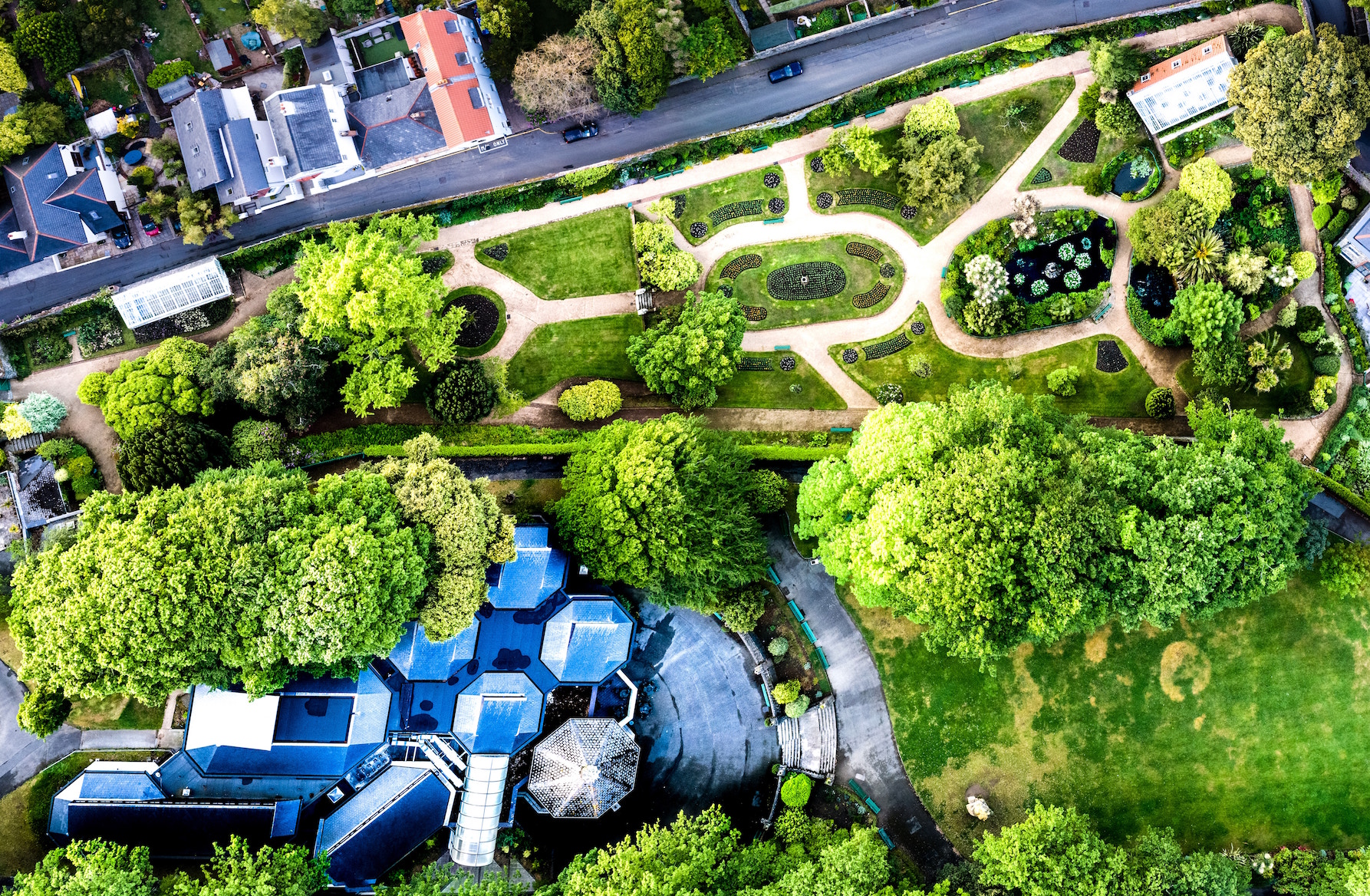 Botanical sexism with trees making seasonal allergies worse