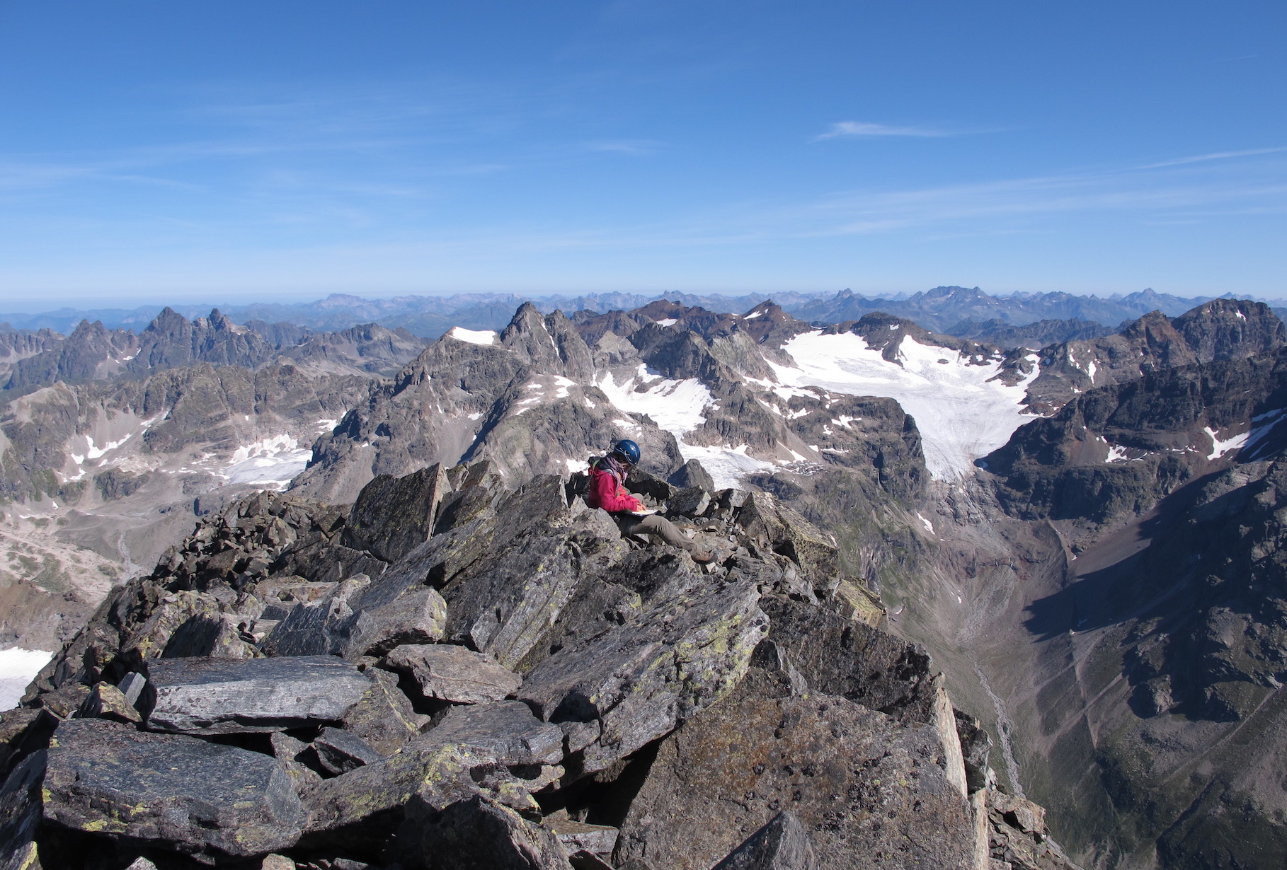 Rising temperatures bring new plant species to mountaintops