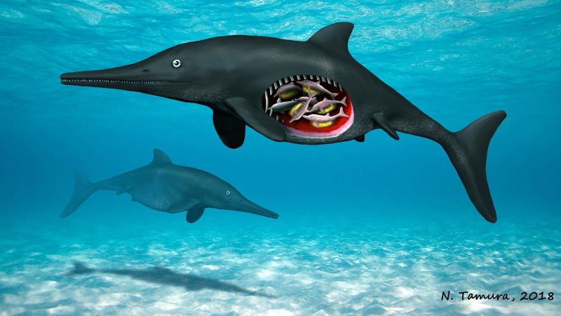 Fossil reveals ichthyosaurs gave birth to live young