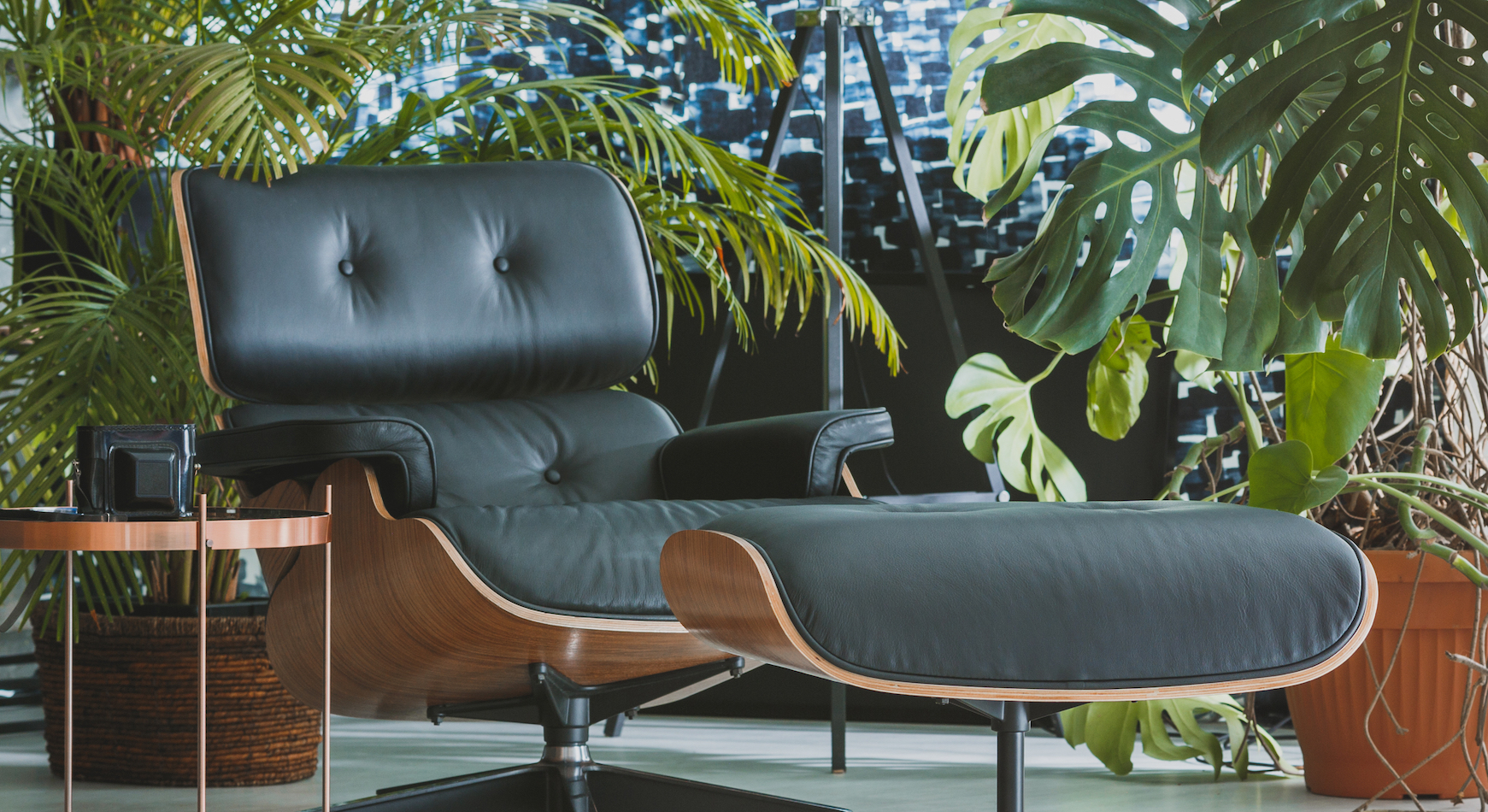 Plants help airtight buildings maintain clean air