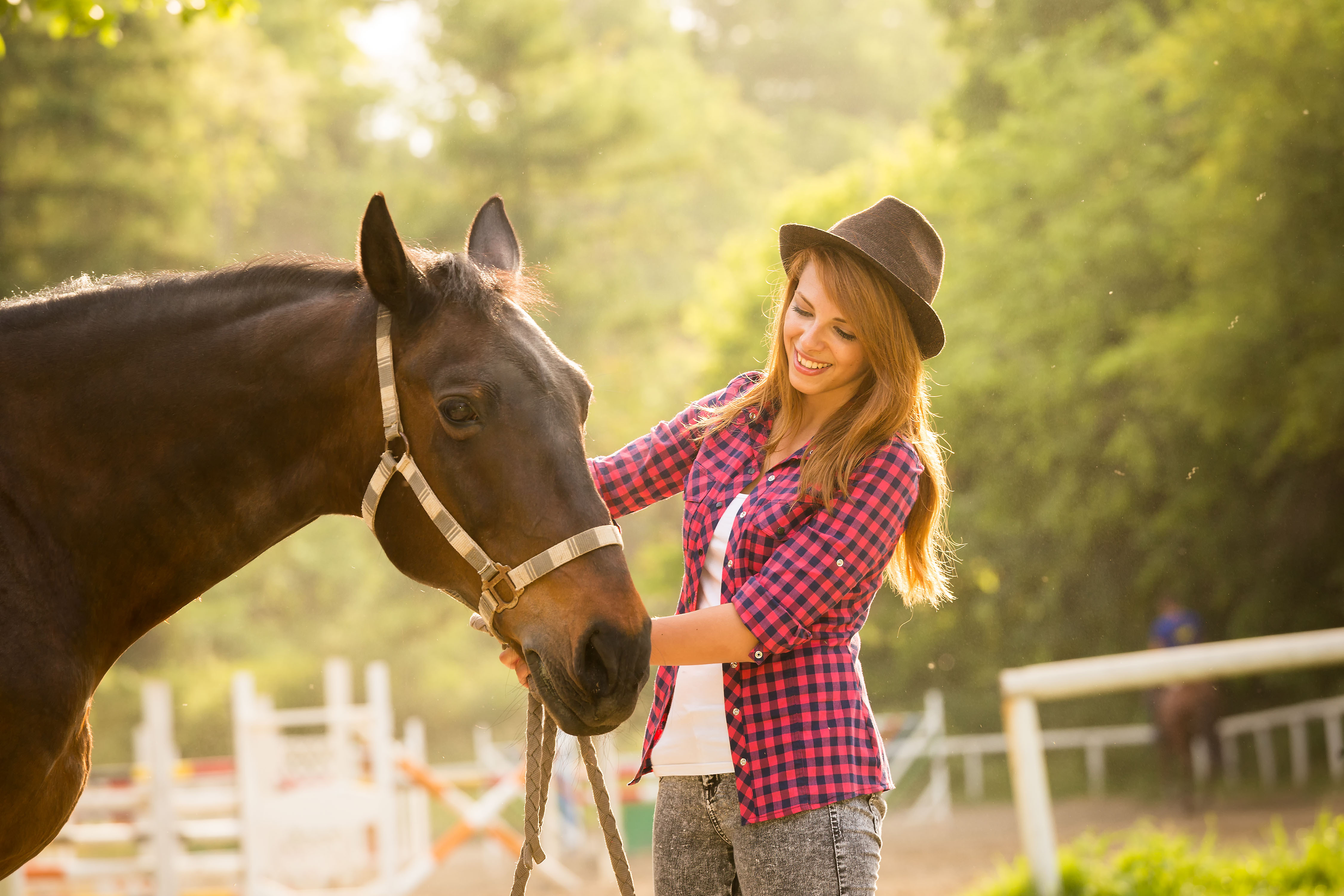 Horses can sense and remember human facial expressions, emotions