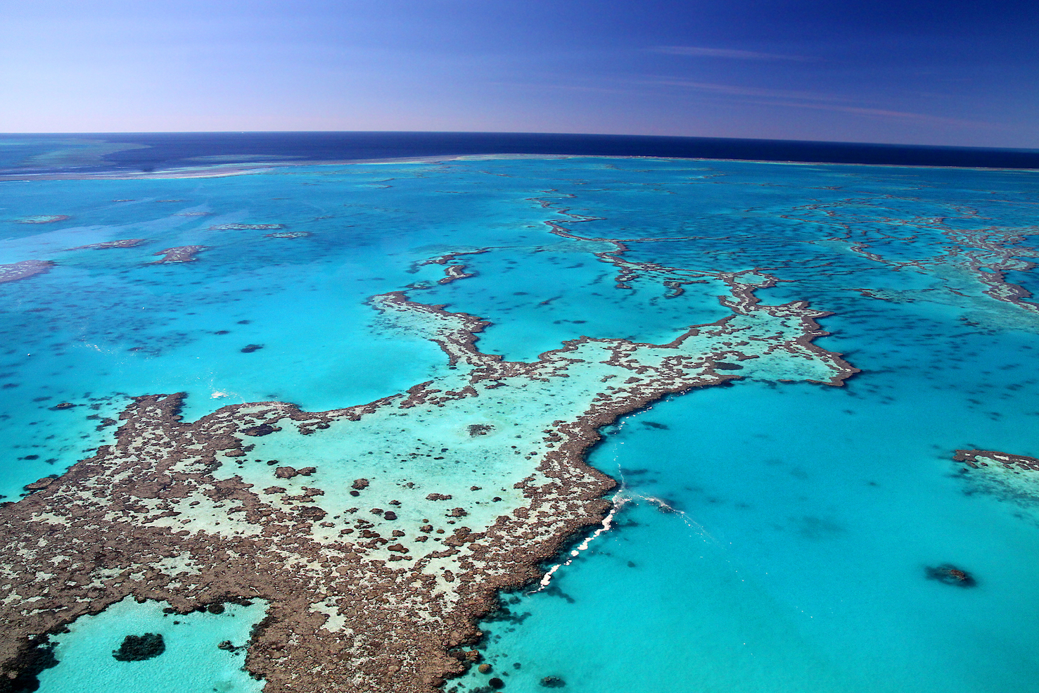 The Great Barrier Reef has undergone five different death events