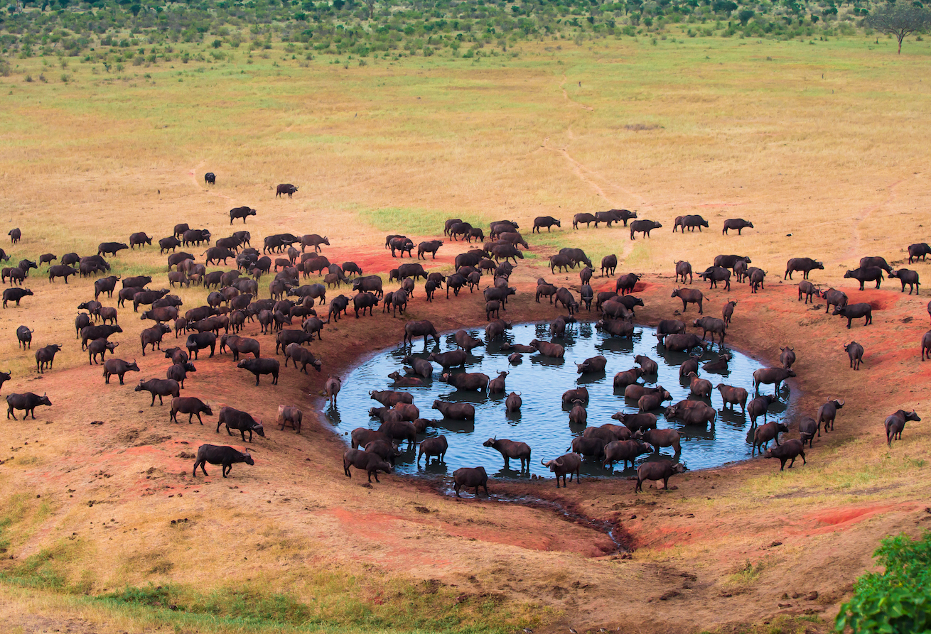 Dry environments cause disease to spread more quickly